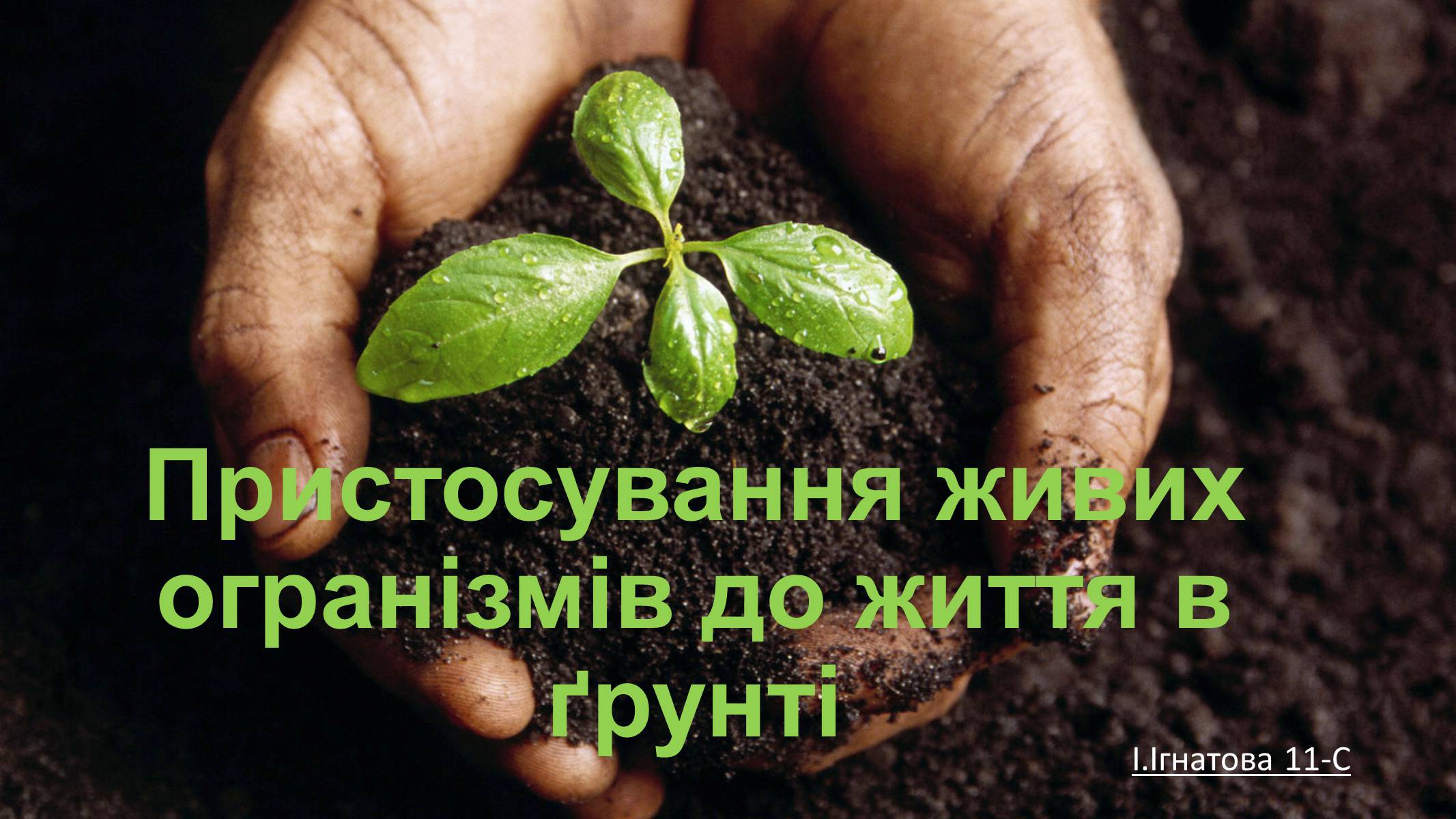 Презентація на тему «Пристосування живих огранізмів до життя в ґрунті» - Слайд #1 Презентація на тему «Пристосування живих огранізмів до життя в ґрунті» - Слайд #1