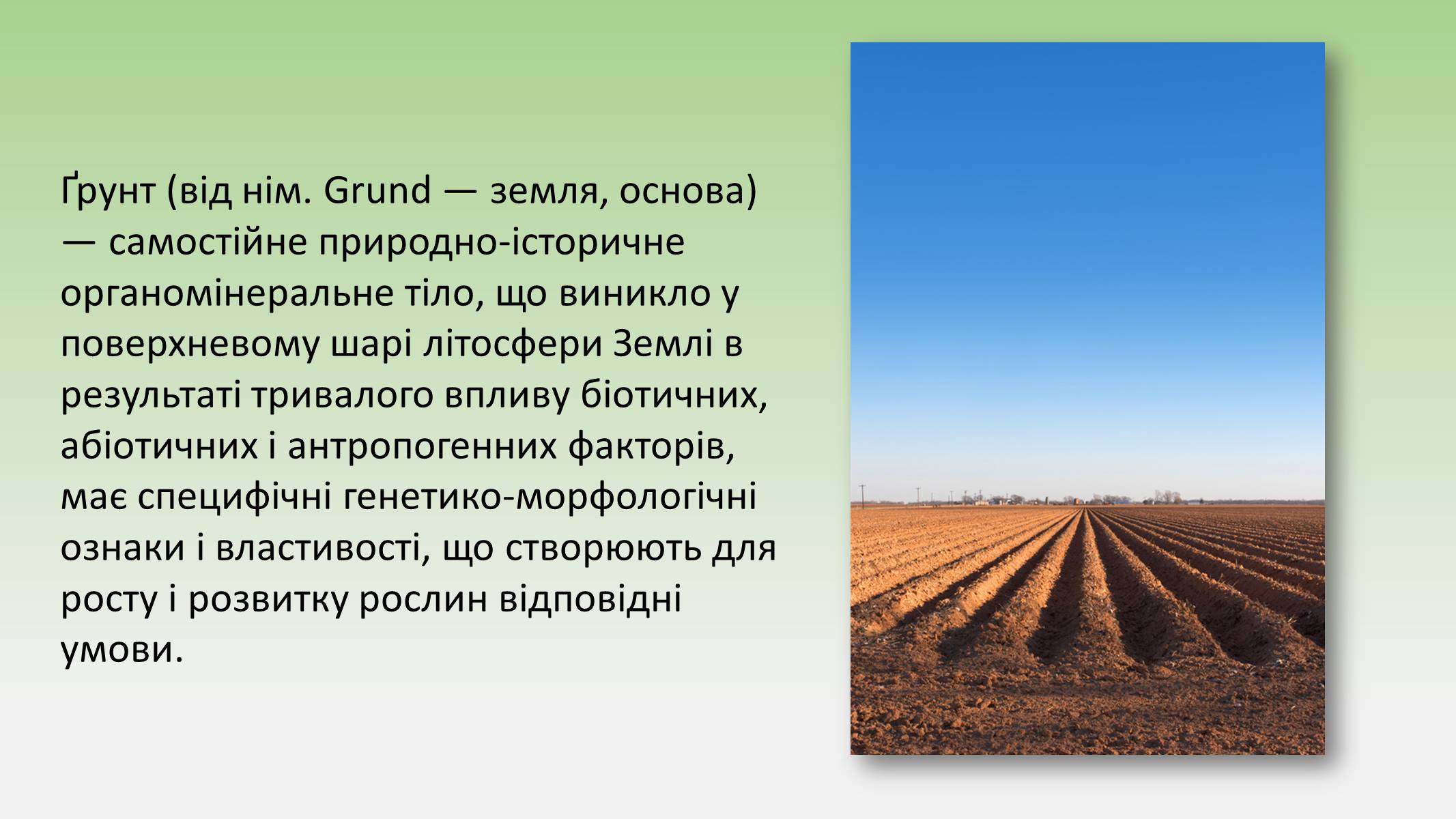 Презентація на тему «Пристосування живих огранізмів до життя в ґрунті» - Слайд #2 Презентація на тему «Пристосування живих огранізмів до життя в ґрунті» - Слайд #2