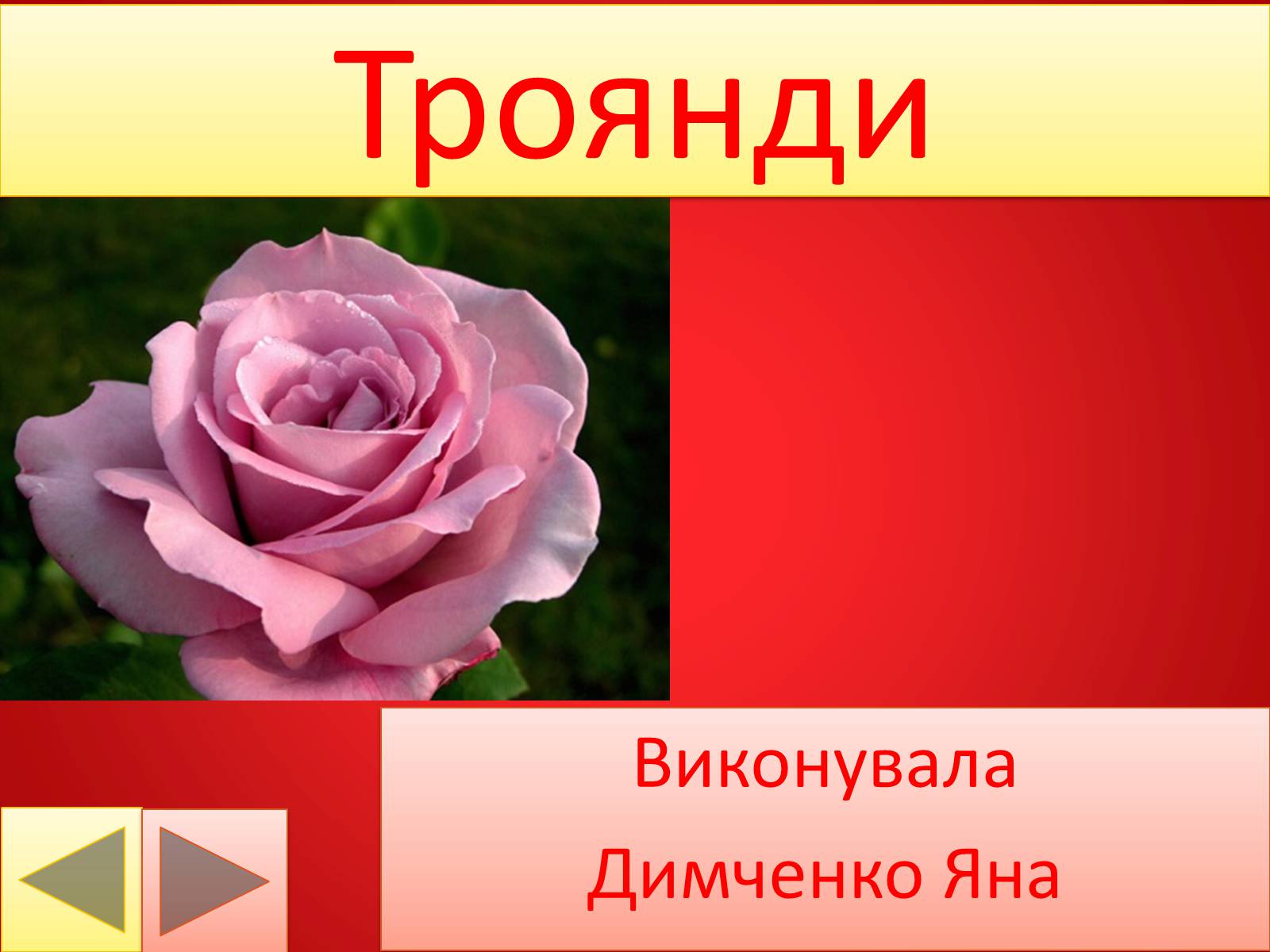 Презентація на тему «Троянди» (варіант 2) - Слайд #1 Презентація на тему «Троянди» (варіант 2) - Слайд #1