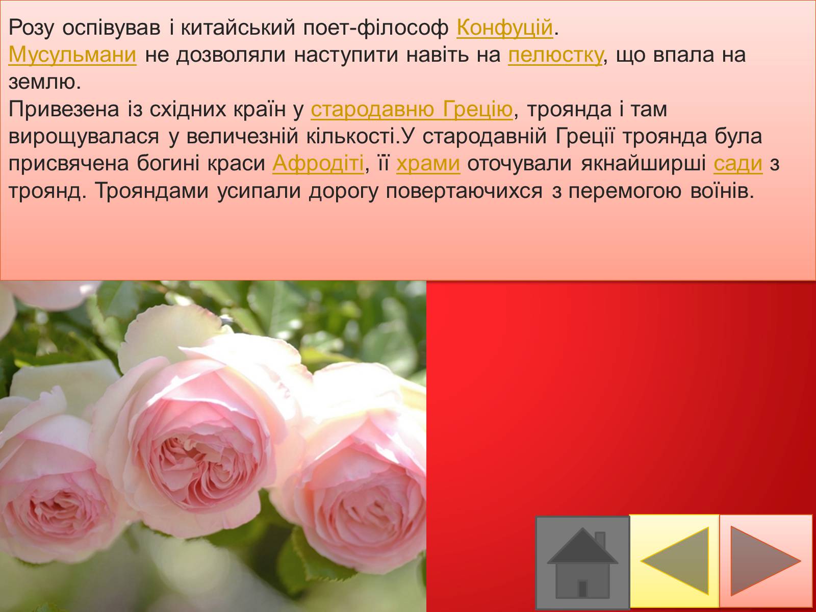 Презентація на тему «Троянди» (варіант 2) - Слайд #10 Презентація на тему «Троянди» (варіант 2) - Слайд #10