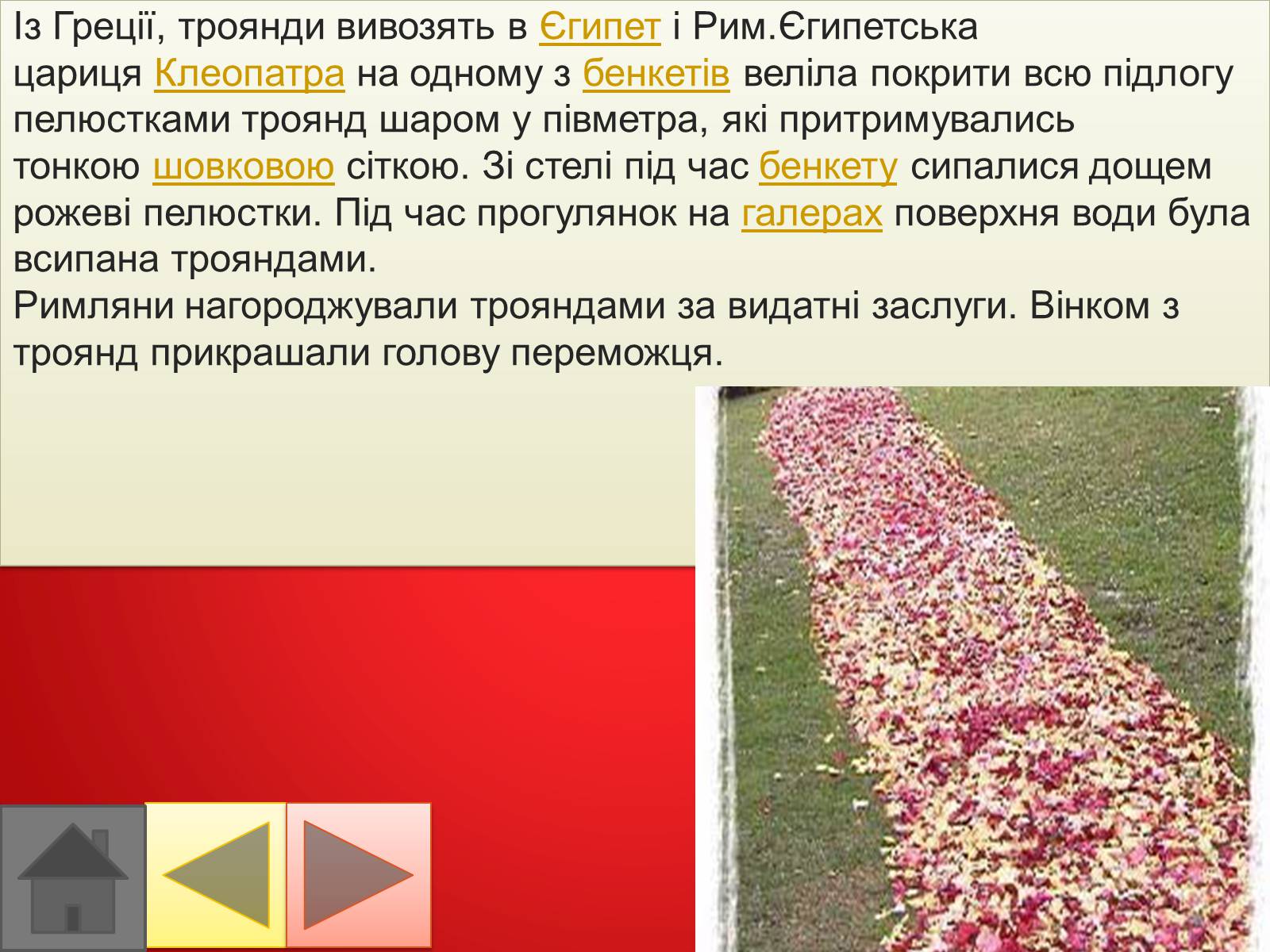Презентація на тему «Троянди» (варіант 2) - Слайд #11 Презентація на тему «Троянди» (варіант 2) - Слайд #11