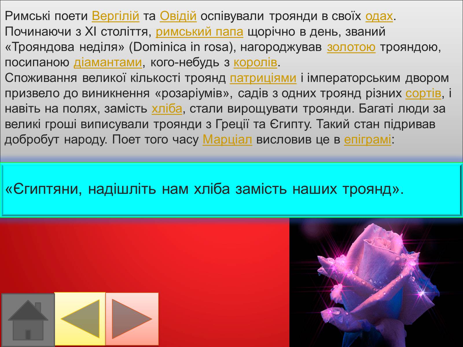 Презентація на тему «Троянди» (варіант 2) - Слайд #13 Презентація на тему «Троянди» (варіант 2) - Слайд #13