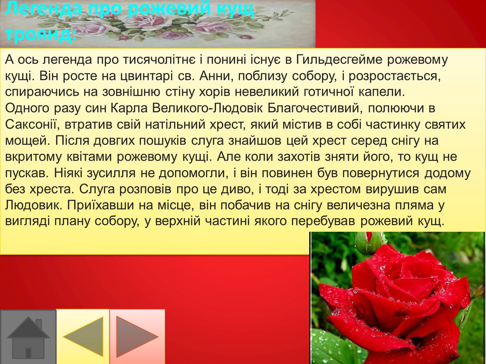 Презентація на тему «Троянди» (варіант 2) - Слайд #15 Презентація на тему «Троянди» (варіант 2) - Слайд #15