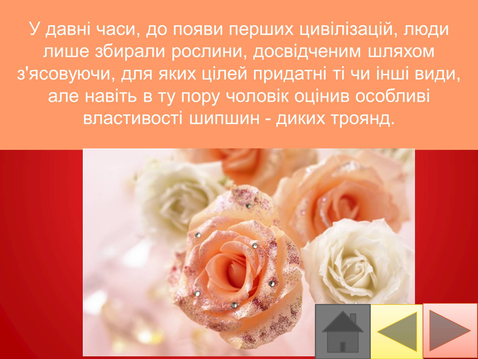 Презентація на тему «Троянди» (варіант 2) - Слайд #3 Презентація на тему «Троянди» (варіант 2) - Слайд #3