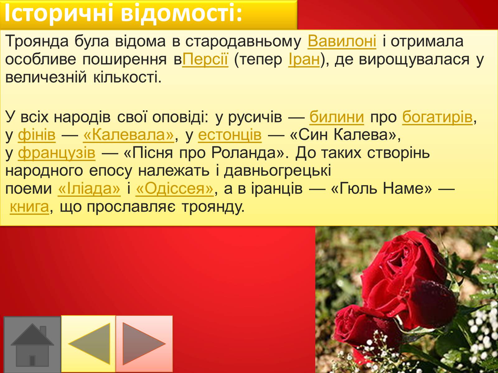 Презентація на тему «Троянди» (варіант 2) - Слайд #7 Презентація на тему «Троянди» (варіант 2) - Слайд #7
