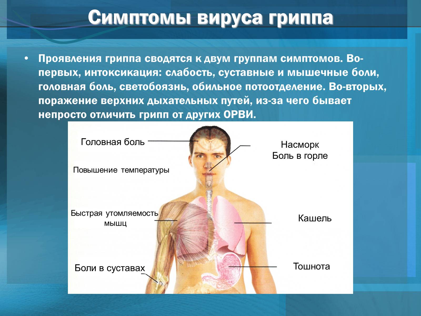 Презентація на тему «Вирусы. Вирус гриппа» - Слайд #19 Презентація на тему «Вирусы. Вирус гриппа» - Слайд #19