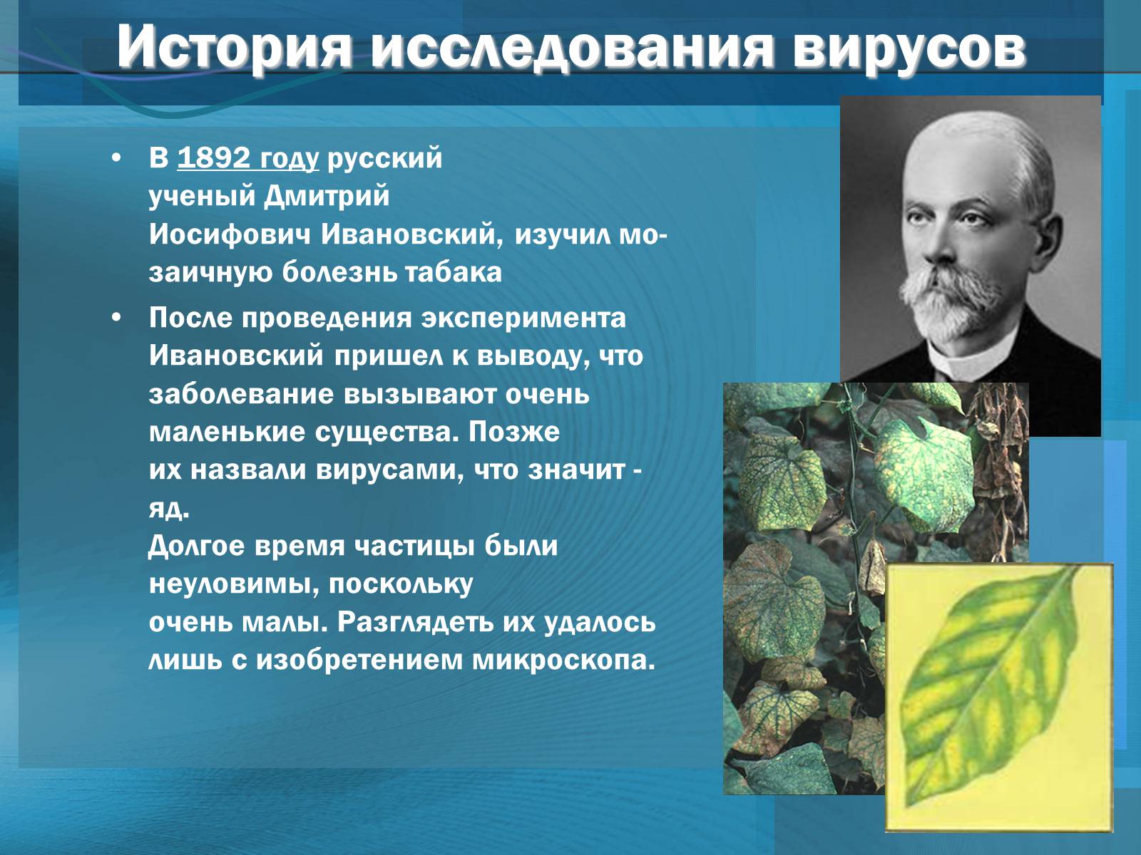 Презентація на тему «Вирусы. Вирус гриппа» - Слайд #3 Презентація на тему «Вирусы. Вирус гриппа» - Слайд #3