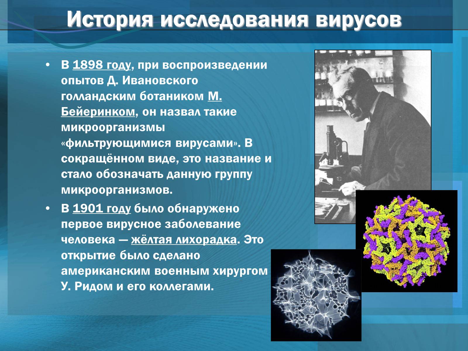 Презентація на тему «Вирусы. Вирус гриппа» - Слайд #4 Презентація на тему «Вирусы. Вирус гриппа» - Слайд #4