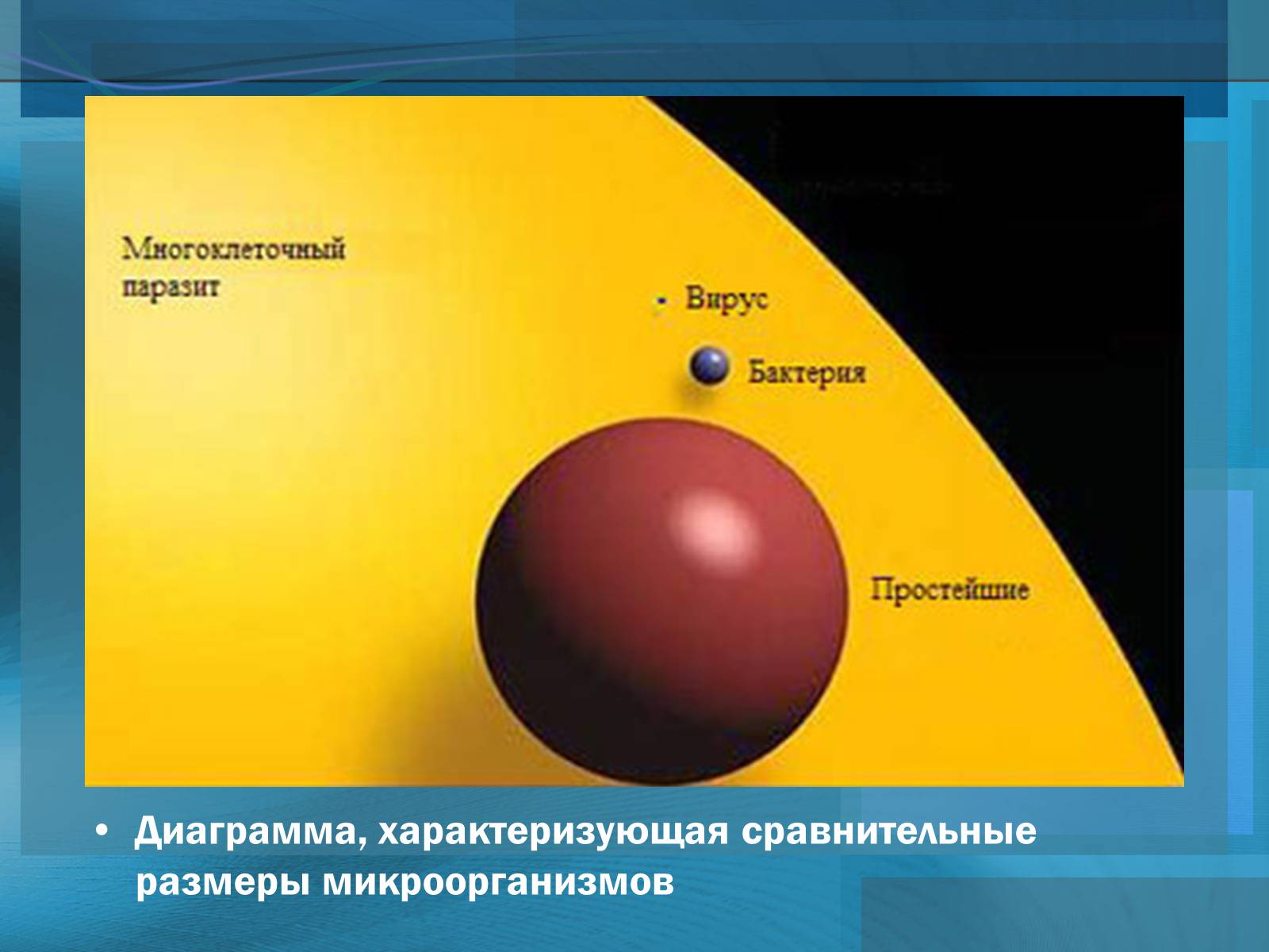 Презентація на тему «Вирусы. Вирус гриппа» - Слайд #8 Презентація на тему «Вирусы. Вирус гриппа» - Слайд #8