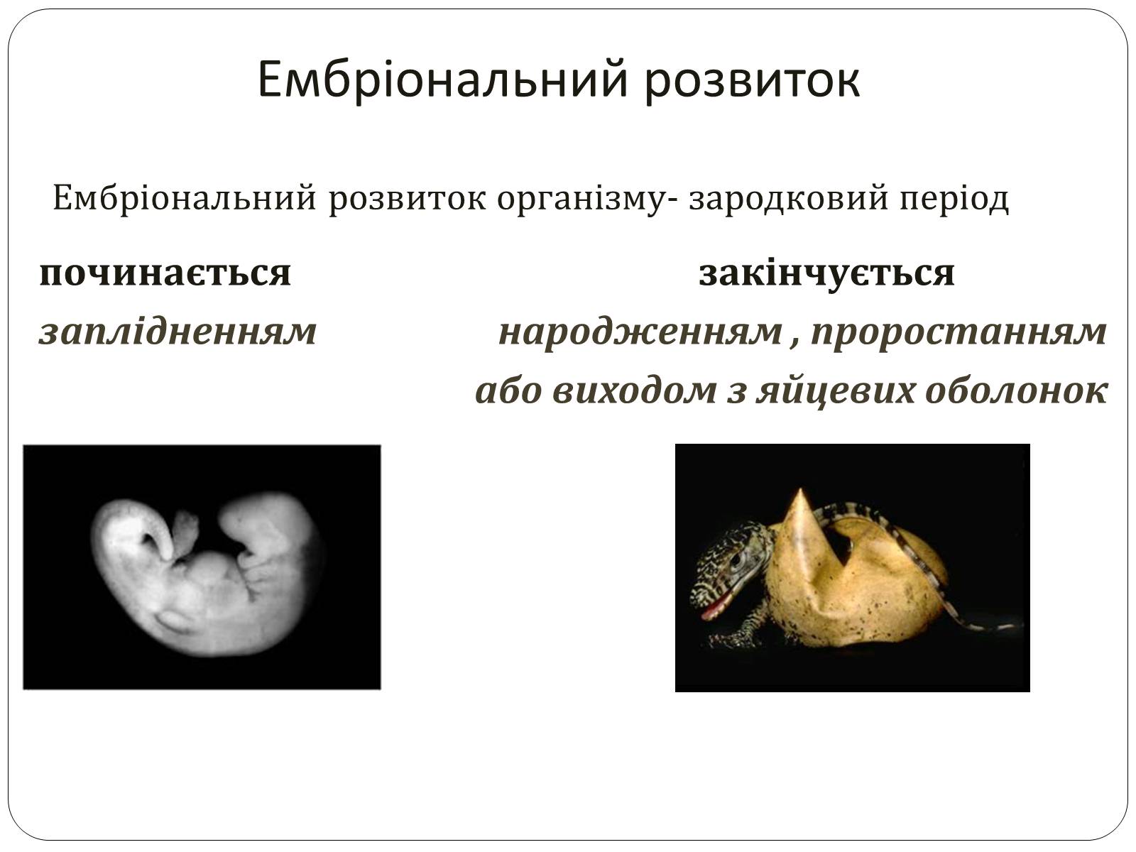 Презентація на тему «Індивідуальний розвиток,його етапи. Ембріональний розвиток» - Слайд #7 Презентація на тему «Індивідуальний розвиток,його етапи. Ембріональний розвиток» - Слайд #7