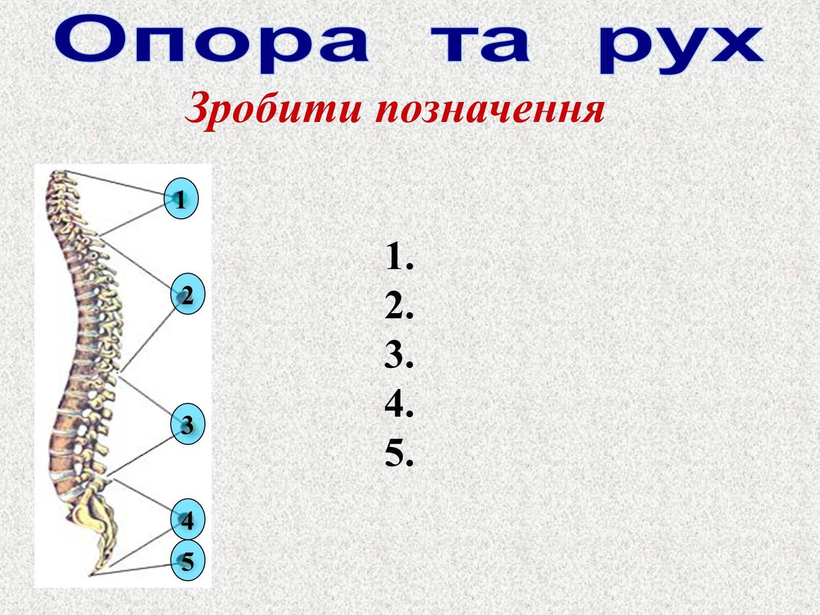 Презентація на тему «Опорно-рухова система людини» - Слайд #100 Презентація на тему «Опорно-рухова система людини» - Слайд #100