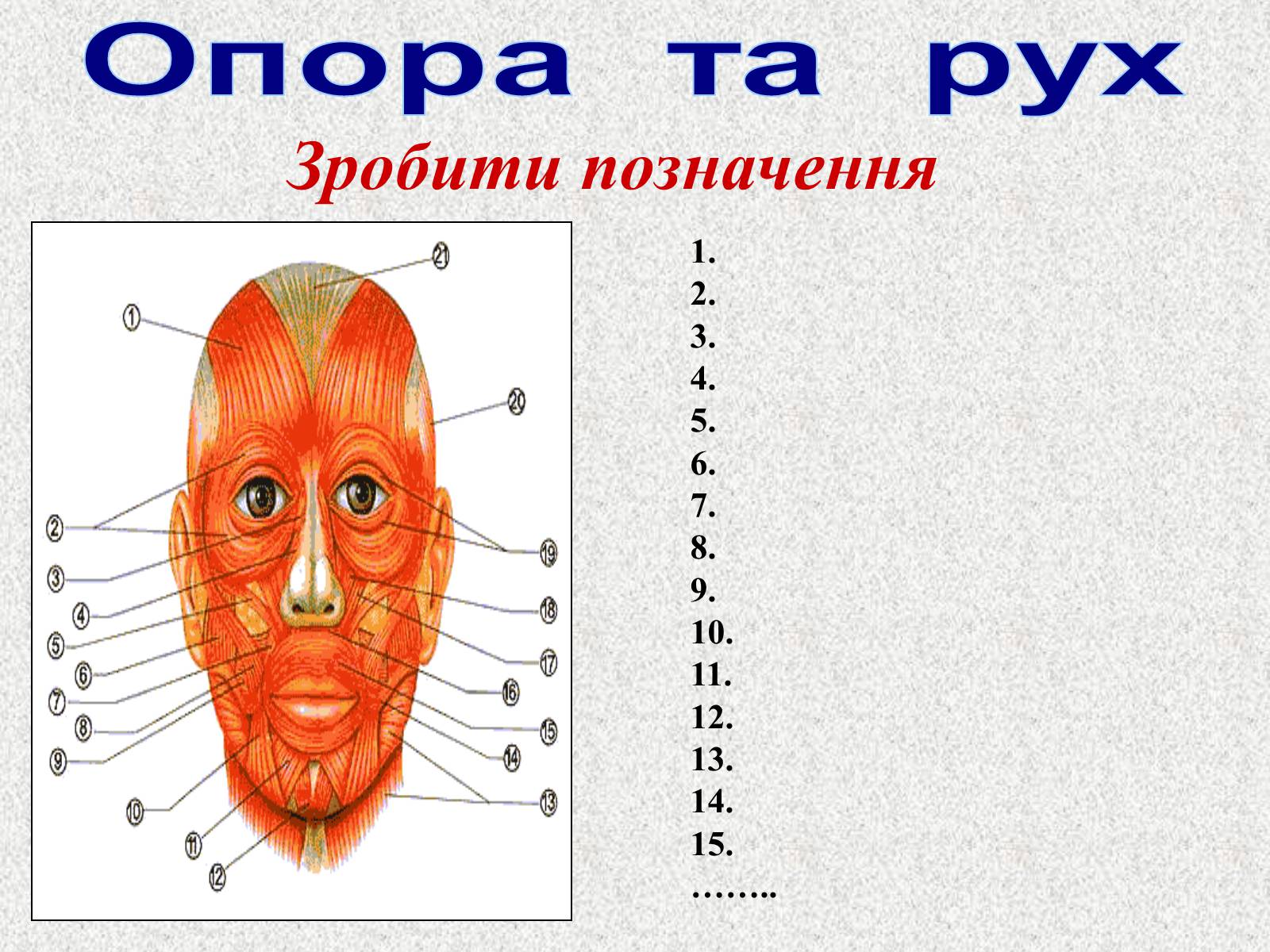 Презентація на тему «Опорно-рухова система людини» - Слайд #105 Презентація на тему «Опорно-рухова система людини» - Слайд #105