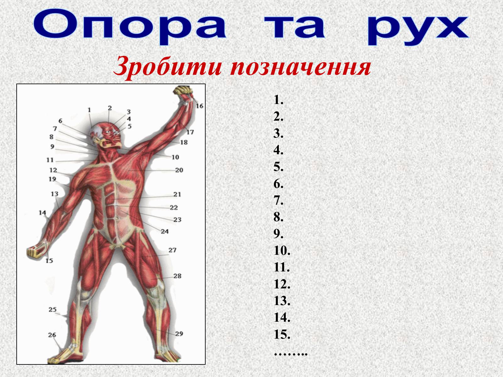 Презентація на тему «Опорно-рухова система людини» - Слайд #106 Презентація на тему «Опорно-рухова система людини» - Слайд #106