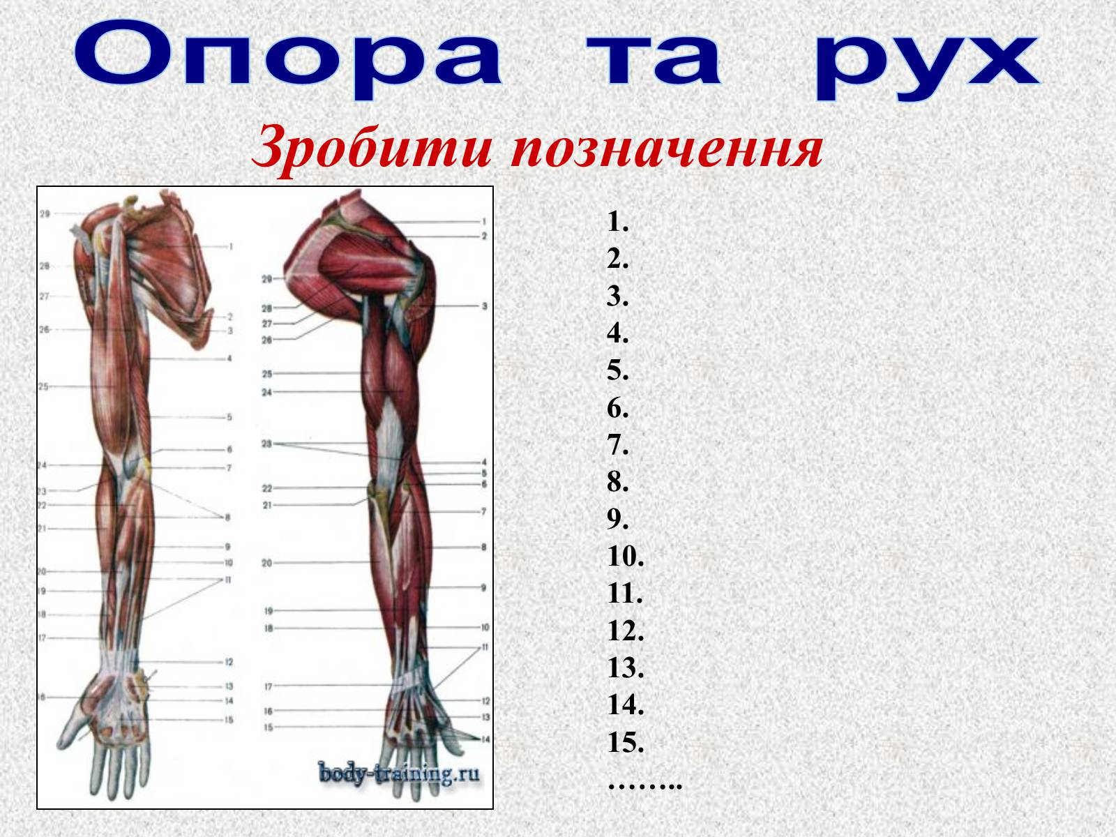 Презентація на тему «Опорно-рухова система людини» - Слайд #107 Презентація на тему «Опорно-рухова система людини» - Слайд #107