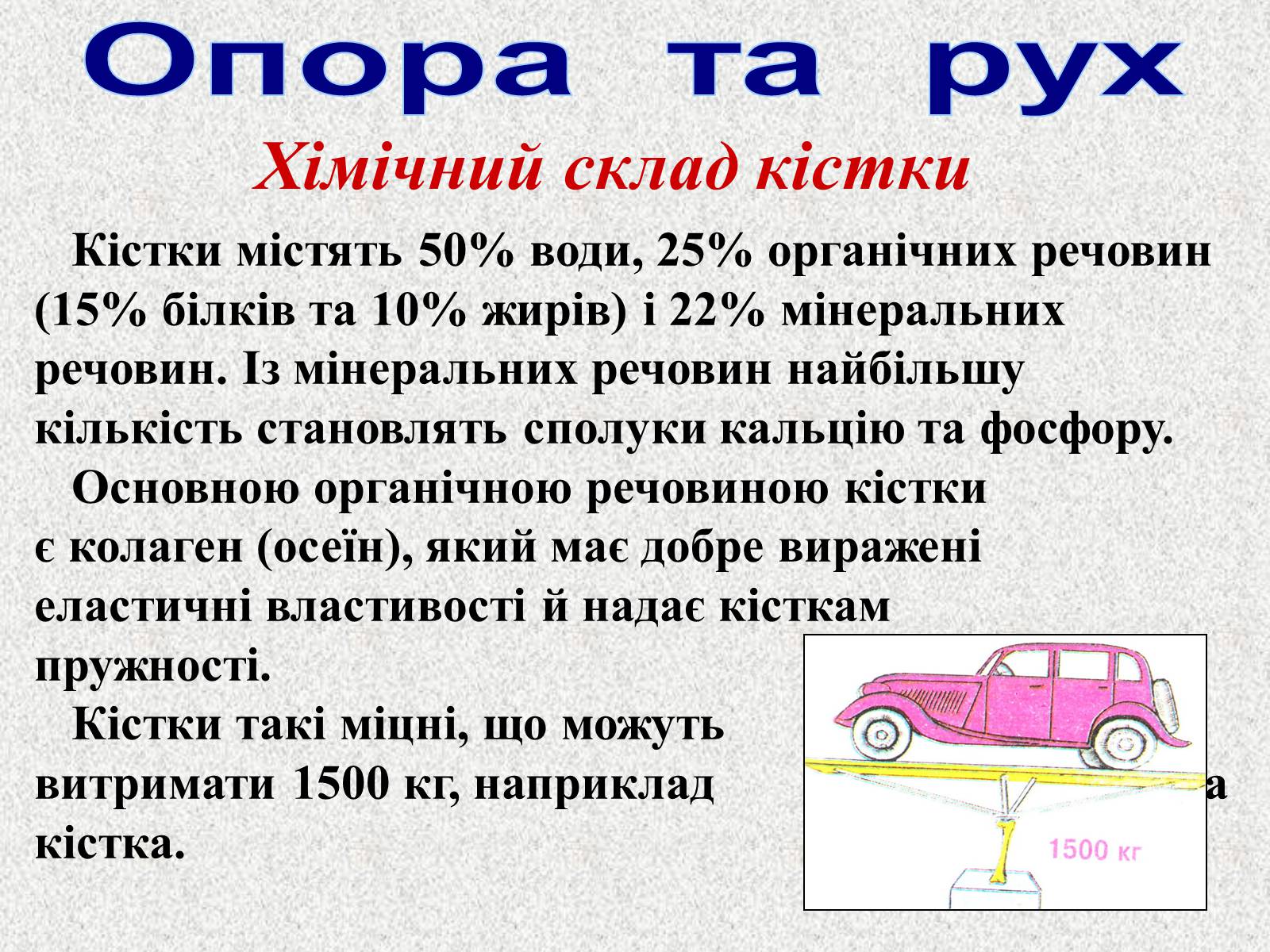 Презентація на тему «Опорно-рухова система людини» - Слайд #16 Презентація на тему «Опорно-рухова система людини» - Слайд #16
