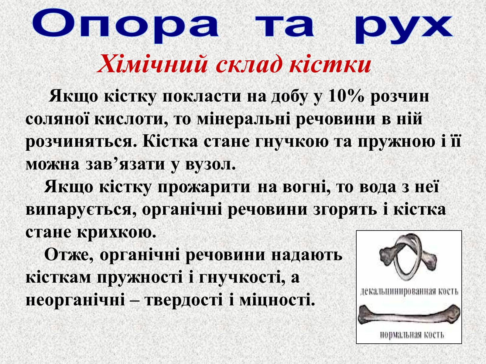 Презентація на тему «Опорно-рухова система людини» - Слайд #17 Презентація на тему «Опорно-рухова система людини» - Слайд #17