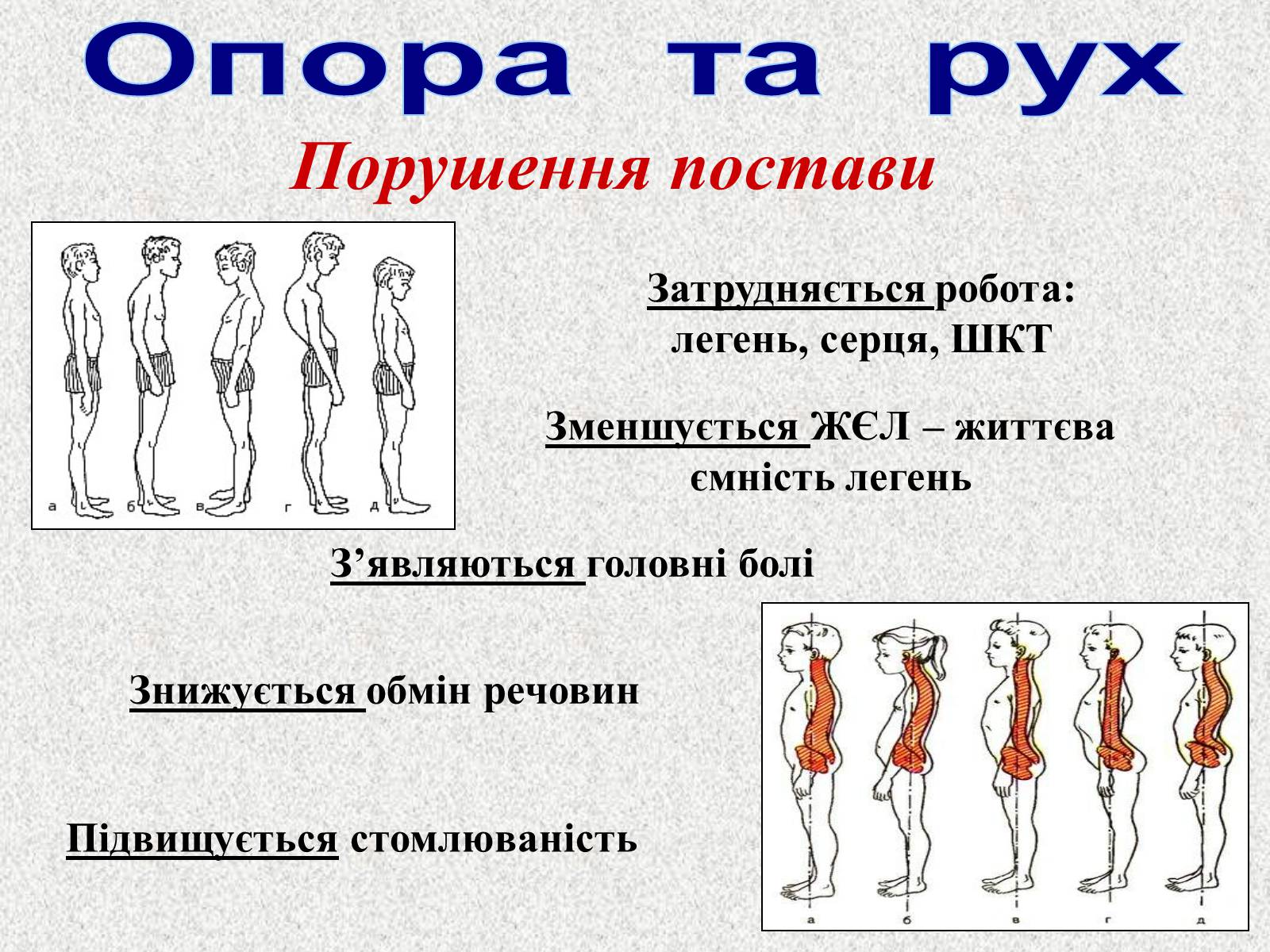 Презентація на тему «Опорно-рухова система людини» - Слайд #62 Презентація на тему «Опорно-рухова система людини» - Слайд #62