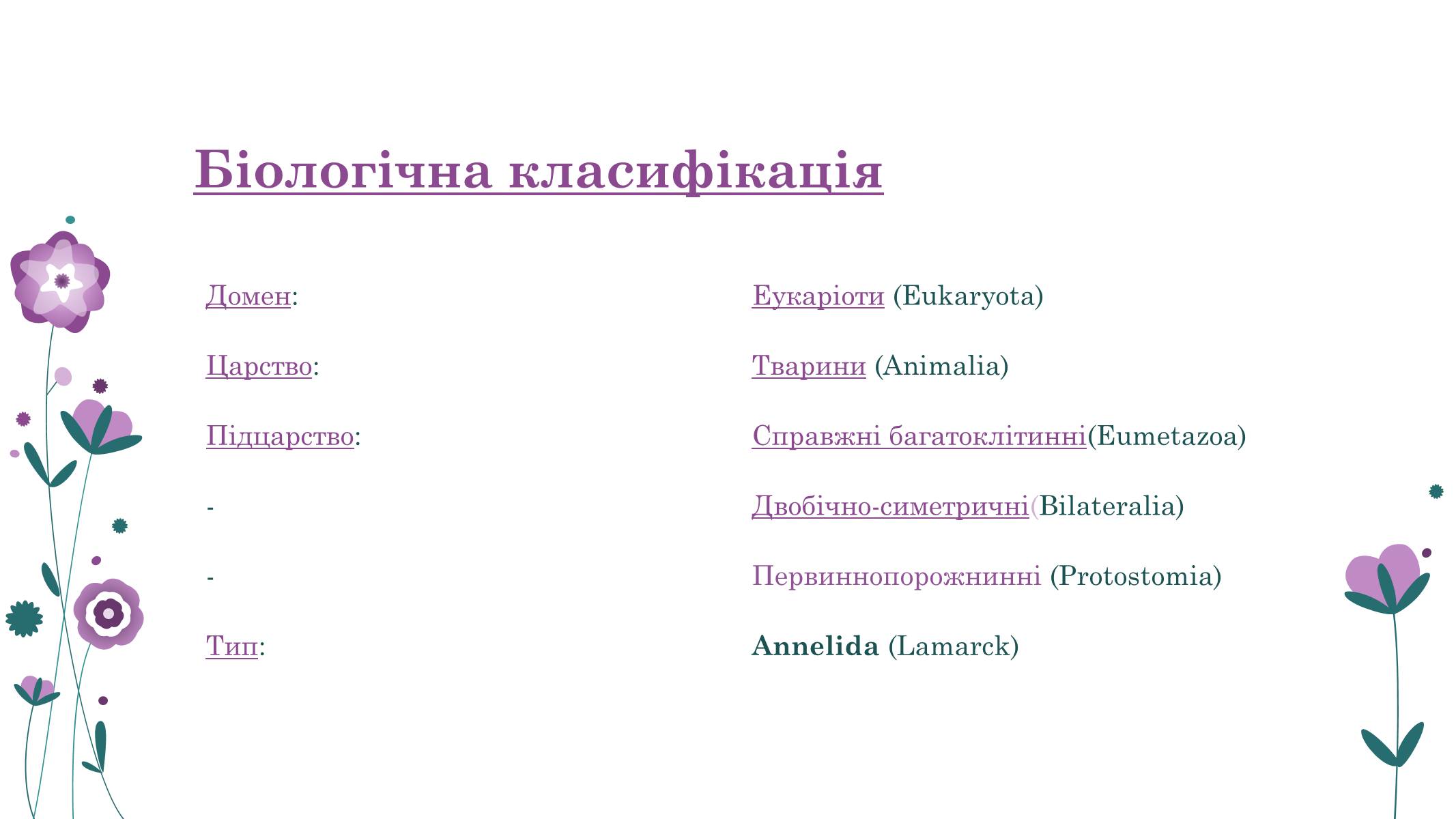 Презентація на тему «Кільчасті черви» - Слайд #2 Презентація на тему «Кільчасті черви» - Слайд #2