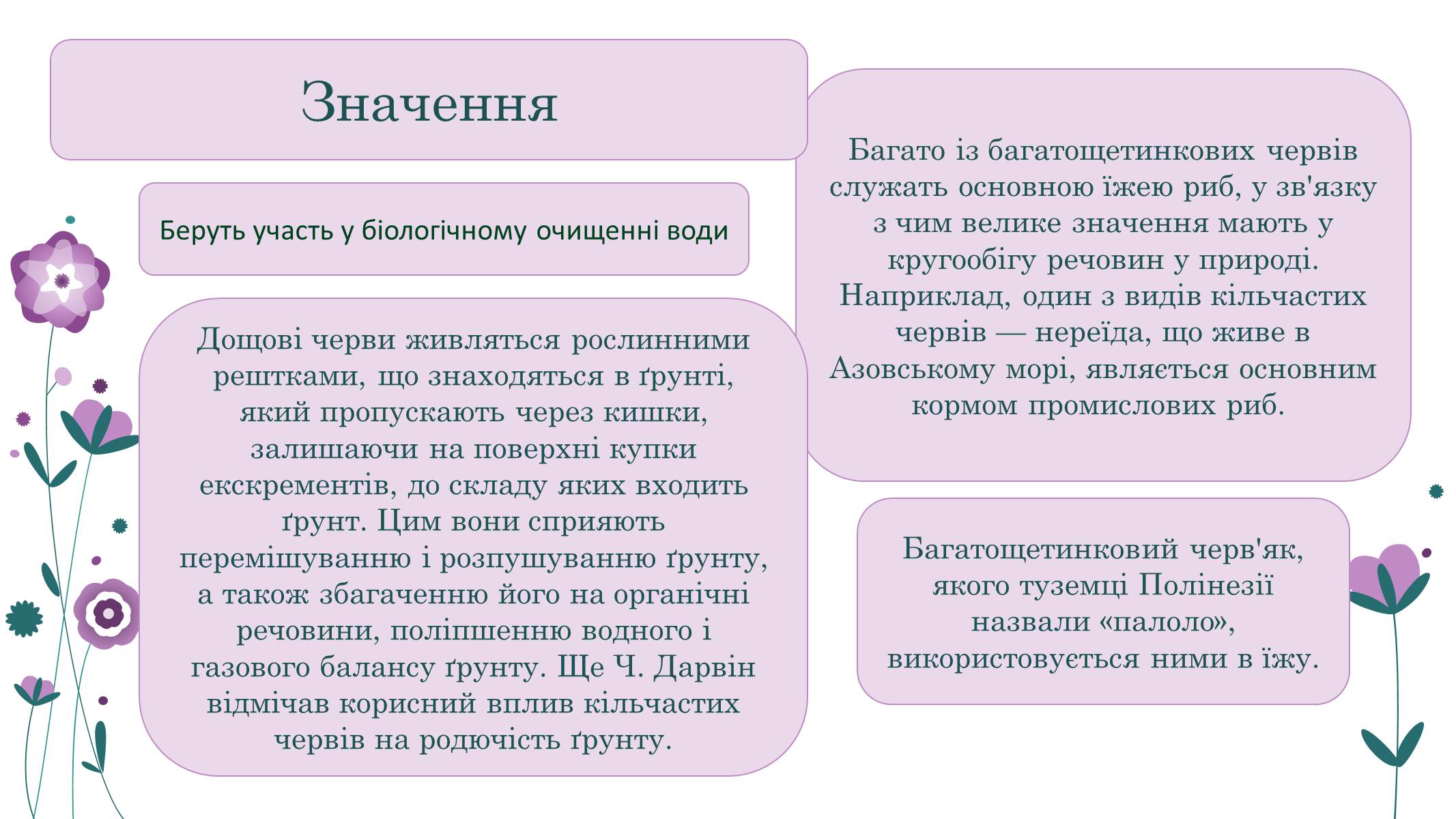Презентація на тему «Кільчасті черви» - Слайд #22 Презентація на тему «Кільчасті черви» - Слайд #22