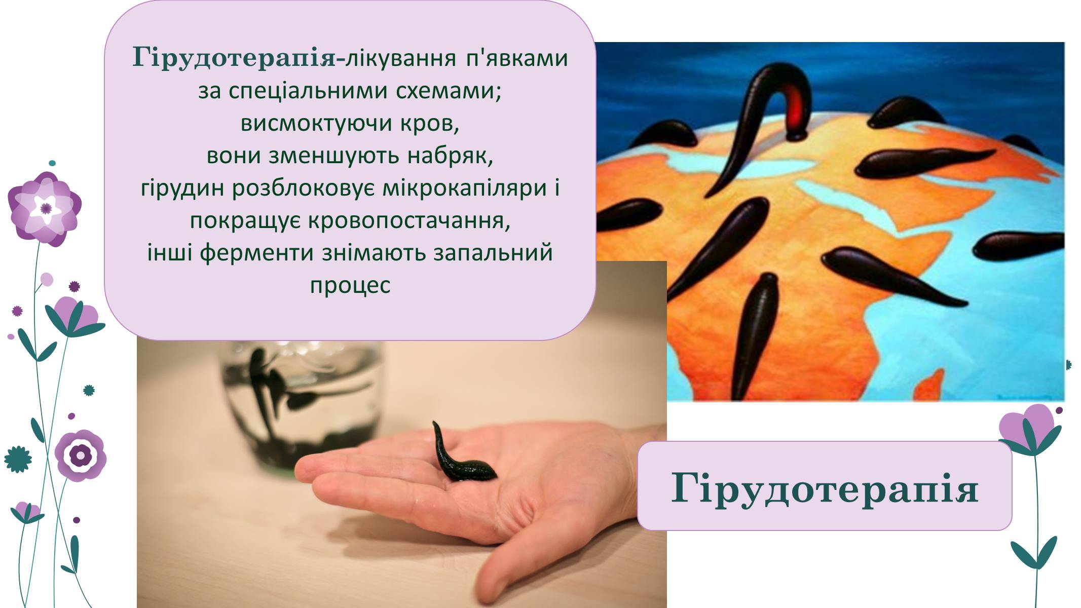 Презентація на тему «Кільчасті черви» - Слайд #23 Презентація на тему «Кільчасті черви» - Слайд #23
