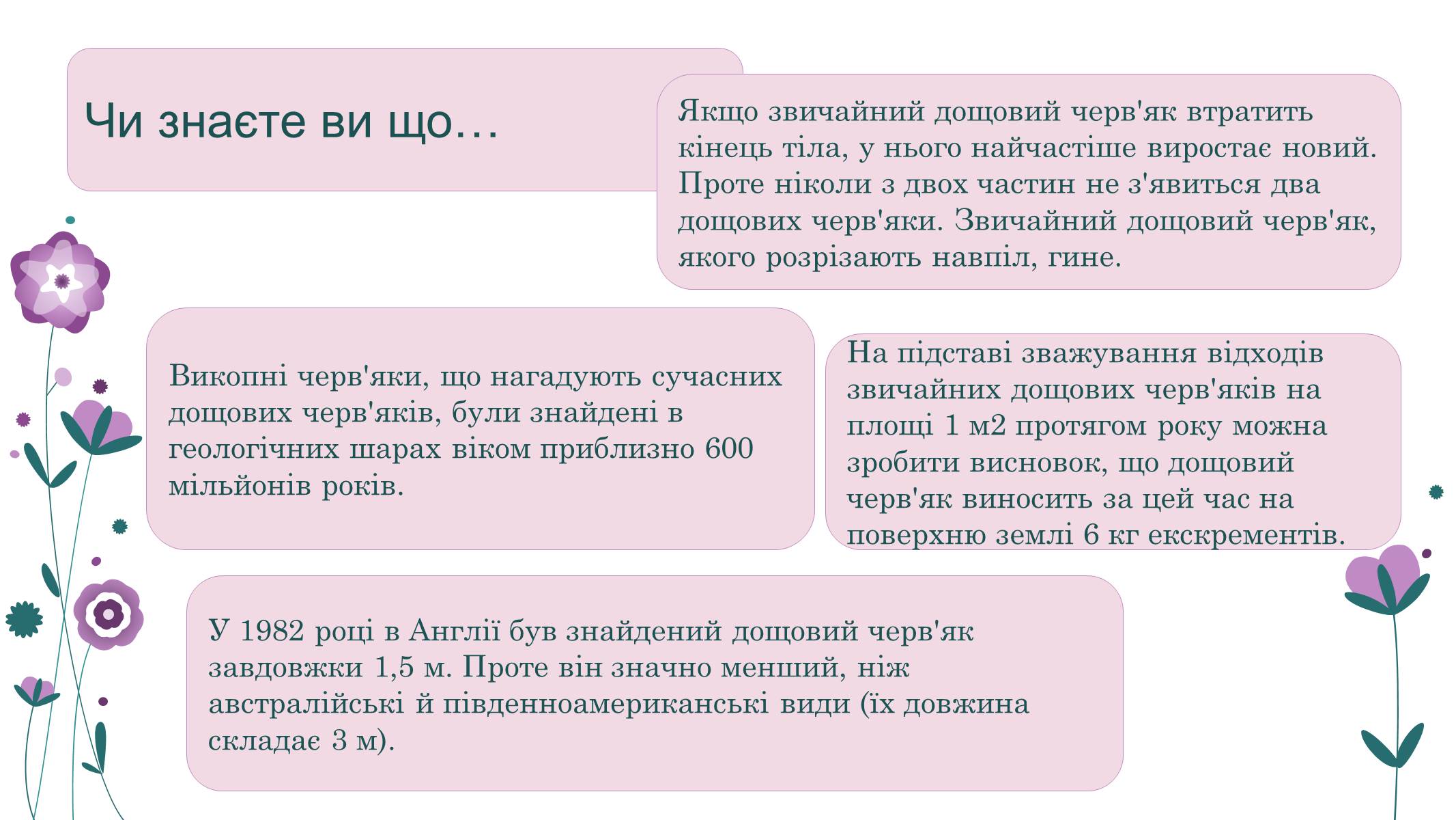 Презентація на тему «Кільчасті черви» - Слайд #24 Презентація на тему «Кільчасті черви» - Слайд #24