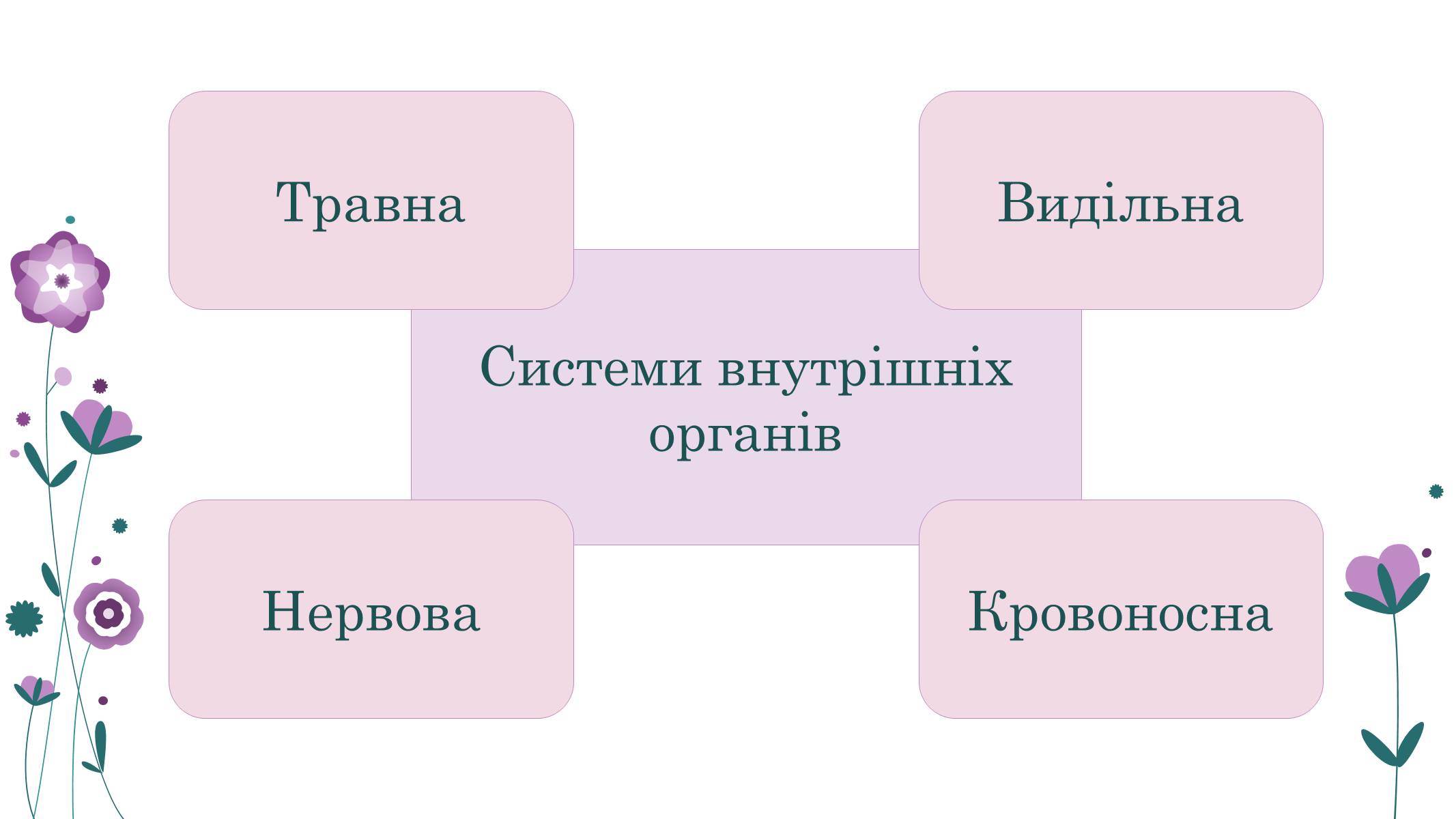 Презентація на тему «Кільчасті черви» - Слайд #4 Презентація на тему «Кільчасті черви» - Слайд #4