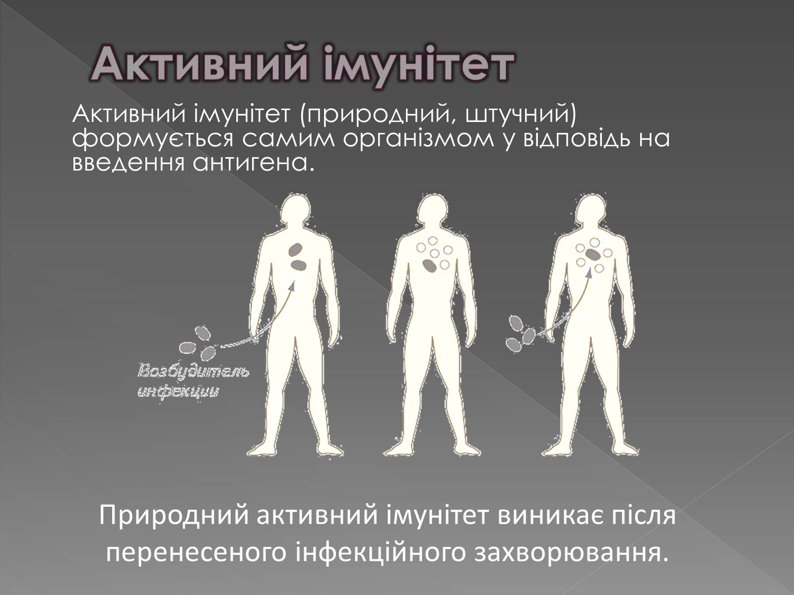 Презентація на тему «Імунітет» (варіант 1) - Слайд #15 Презентація на тему «Імунітет» (варіант 1) - Слайд #15