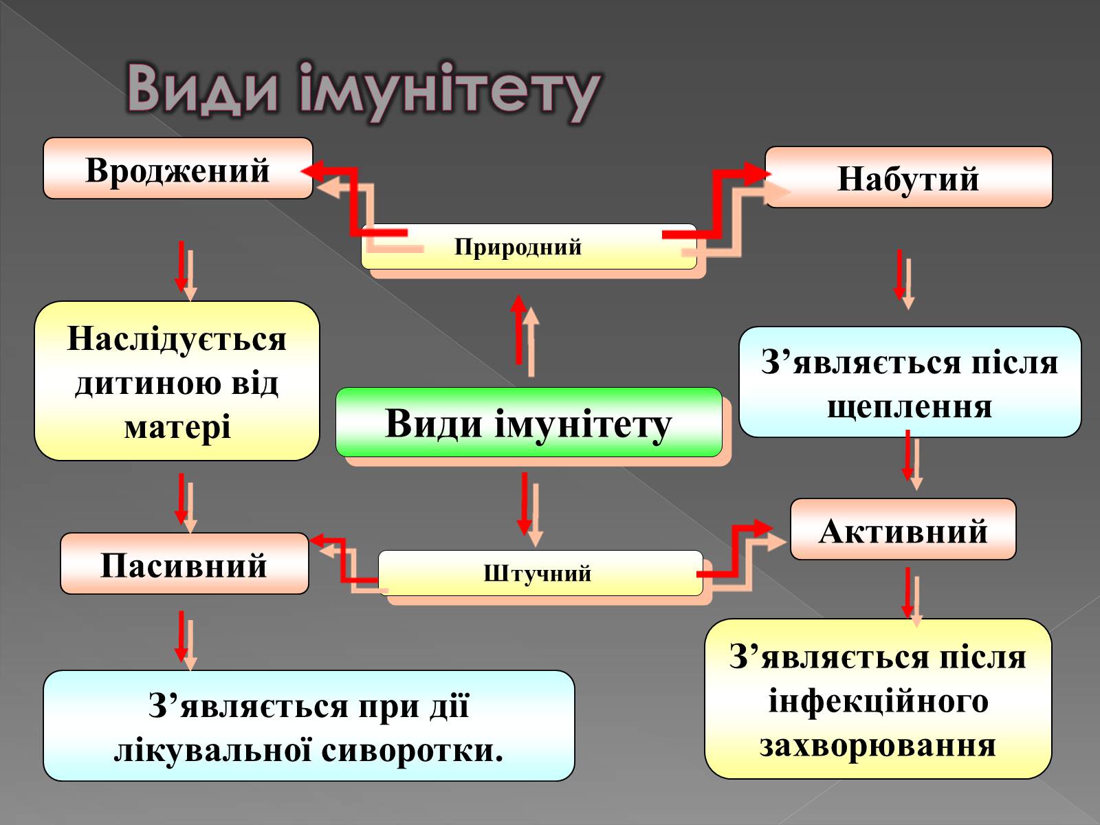 Презентація на тему «Імунітет» (варіант 1) - Слайд #3 Презентація на тему «Імунітет» (варіант 1) - Слайд #3