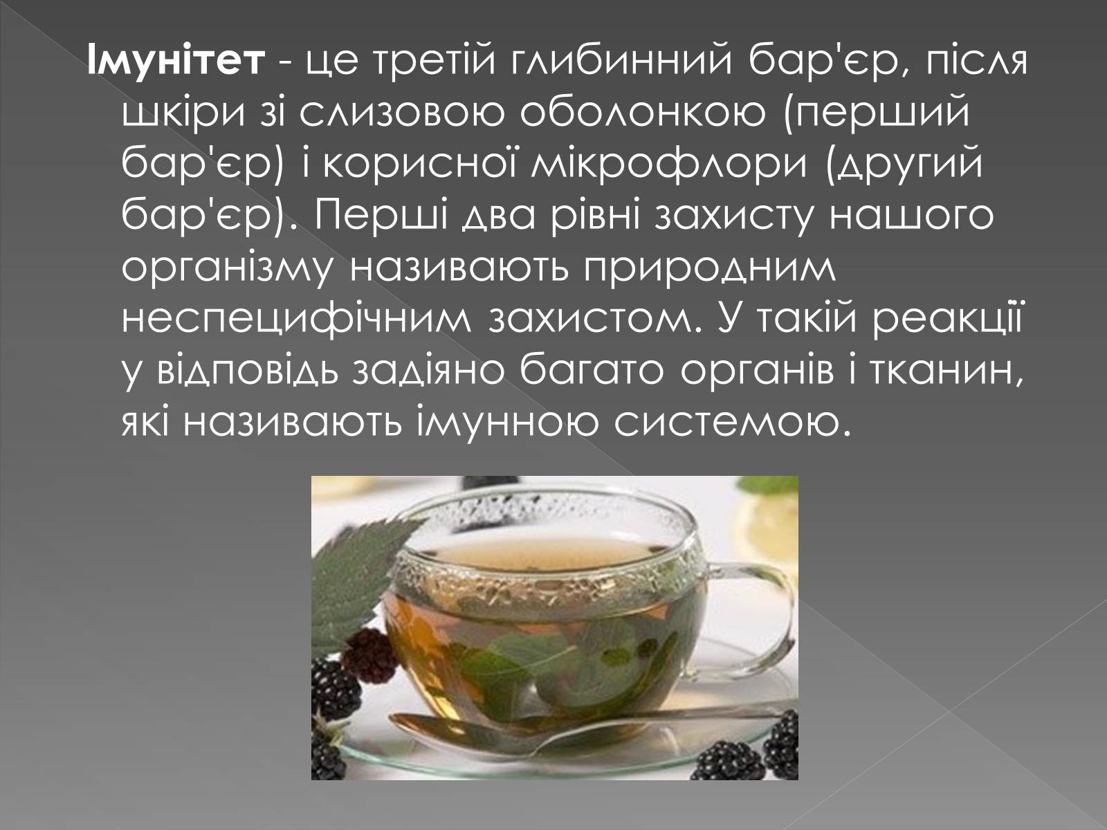 Презентація на тему «Імунітет» (варіант 1) - Слайд #4 Презентація на тему «Імунітет» (варіант 1) - Слайд #4