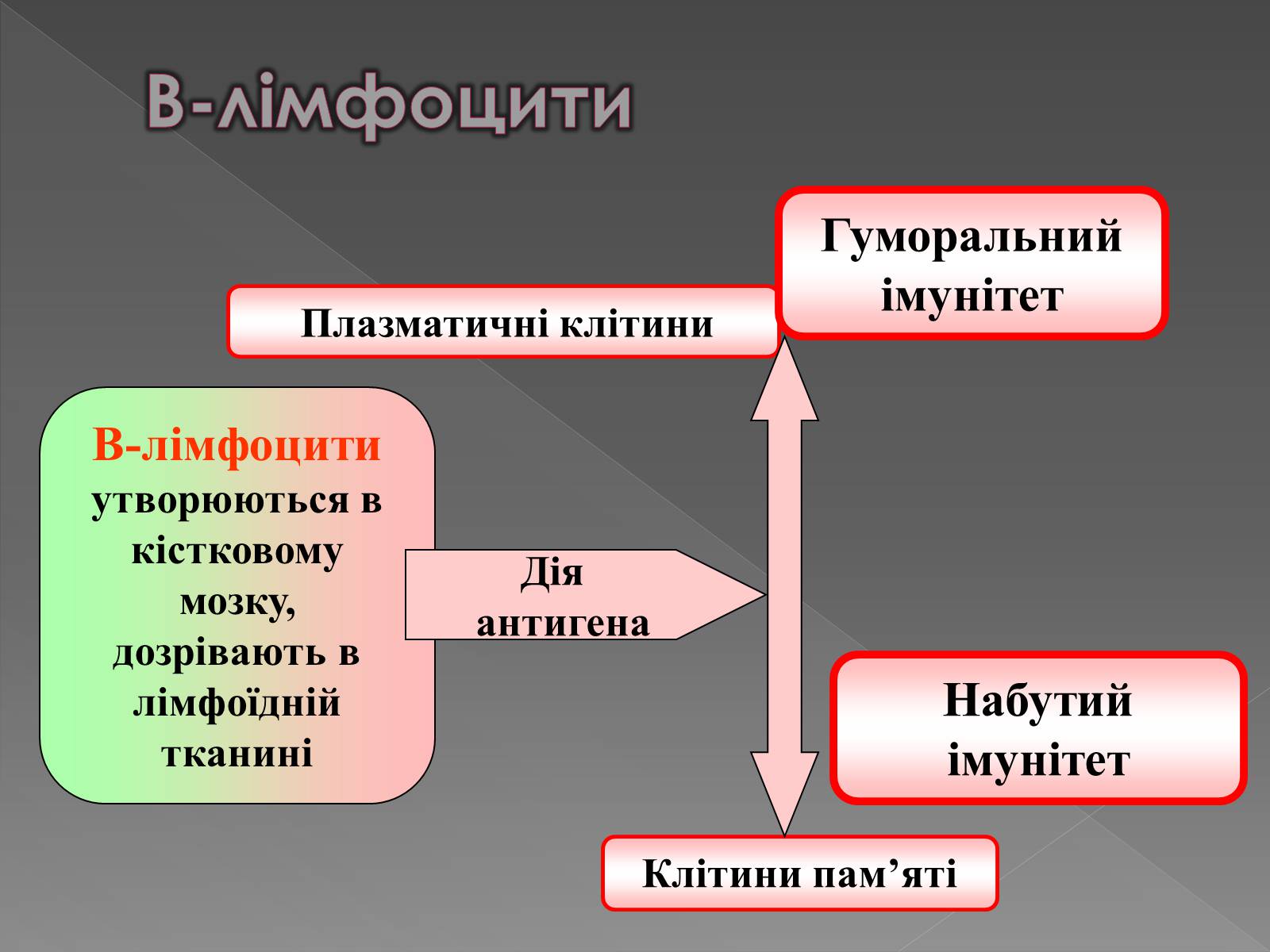 Презентація на тему «Імунітет» (варіант 1) - Слайд #9 Презентація на тему «Імунітет» (варіант 1) - Слайд #9