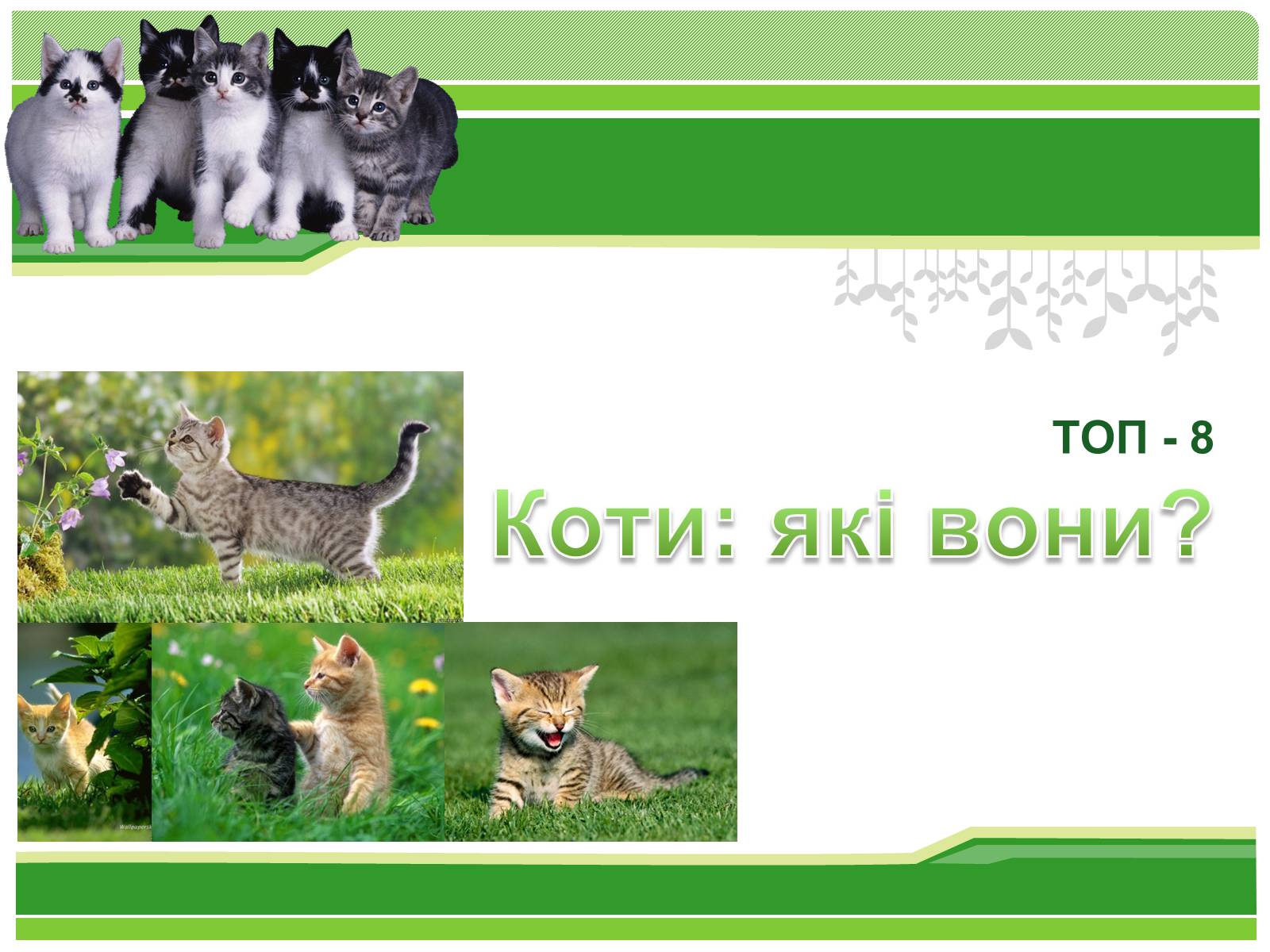 Презентація на тему «Коти» - Слайд #1 Презентація на тему «Коти» - Слайд #1