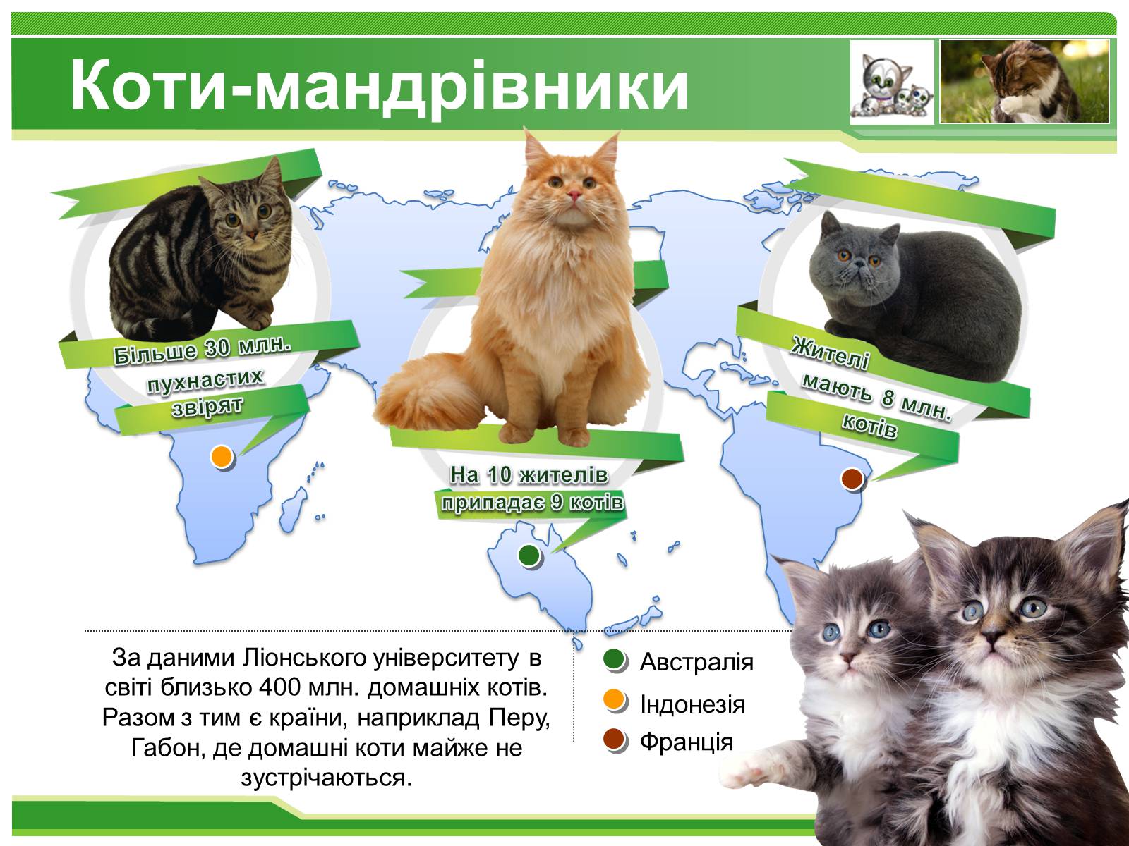 Презентація на тему «Коти» - Слайд #4 Презентація на тему «Коти» - Слайд #4