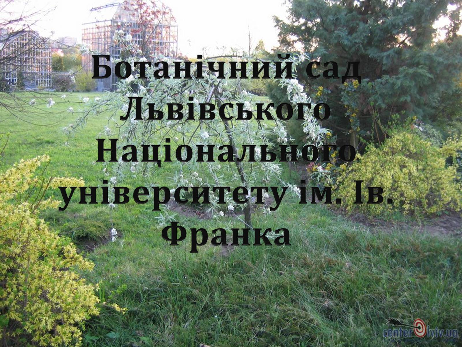 Презентація на тему «Біорізноманіття» (варіант 6) - Слайд #18 Презентація на тему «Біорізноманіття» (варіант 6) - Слайд #18