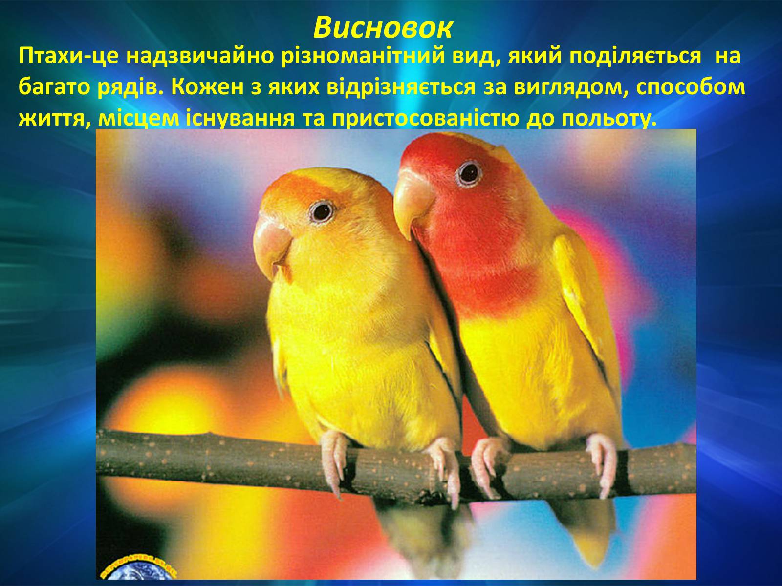 Презентація на тему «Різноманітність птахів» (варіант 2) - Слайд #10 Презентація на тему «Різноманітність птахів» (варіант 2) - Слайд #10