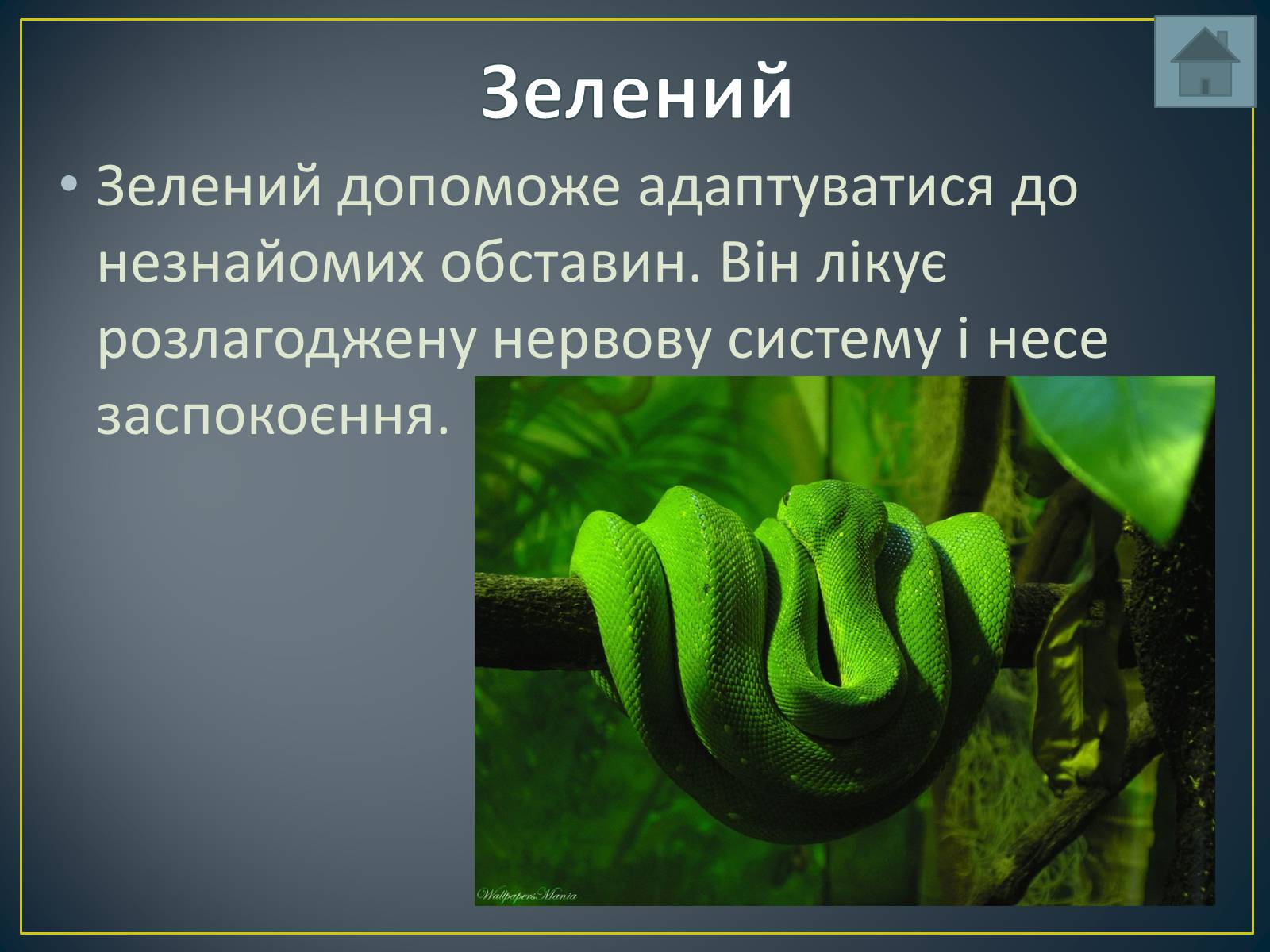 Презентація на тему «Вплив кольорів на людину» - Слайд #12 Презентація на тему «Вплив кольорів на людину» - Слайд #12