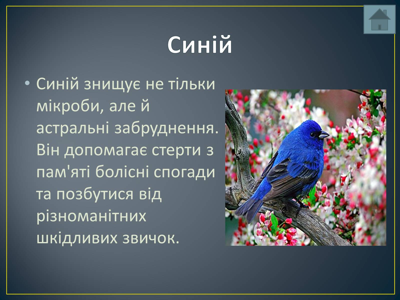Презентація на тему «Вплив кольорів на людину» - Слайд #13 Презентація на тему «Вплив кольорів на людину» - Слайд #13