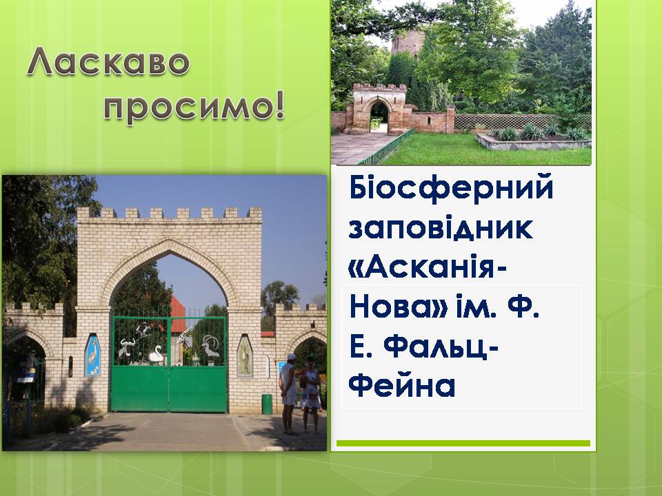 Презентація на тему «Асканія Нова» (варіант 11) - Слайд #1 Презентація на тему «Асканія Нова» (варіант 11) - Слайд #1