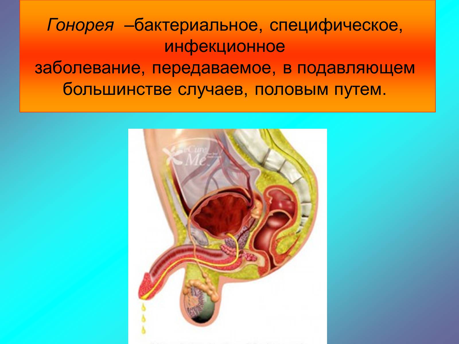 Презентація на тему «Гонорея» - Слайд #2 Презентація на тему «Гонорея» - Слайд #2