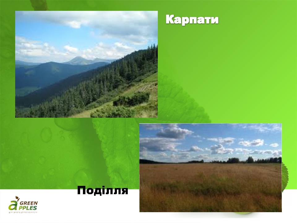 Презентація на тему «Біорізноманіття» (варіант 10) - Слайд #20 Презентація на тему «Біорізноманіття» (варіант 10) - Слайд #20