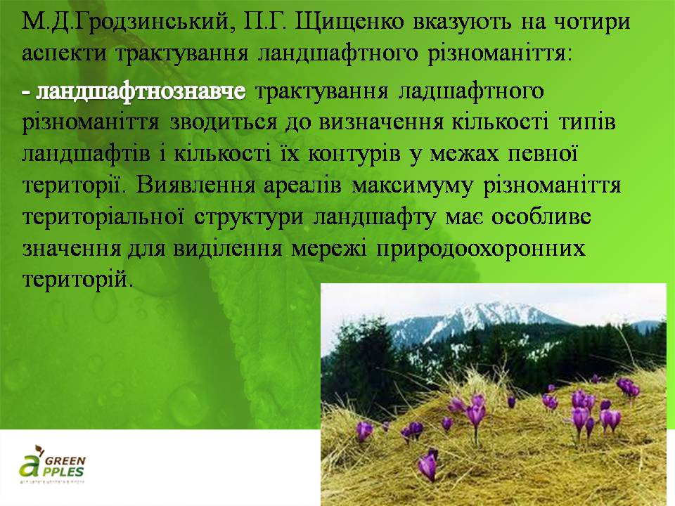 Презентація на тему «Біорізноманіття» (варіант 10) - Слайд #21 Презентація на тему «Біорізноманіття» (варіант 10) - Слайд #21