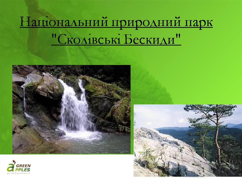Презентація на тему «Біорізноманіття» (варіант 10) - Слайд #27 Презентація на тему «Біорізноманіття» (варіант 10) - Слайд #27