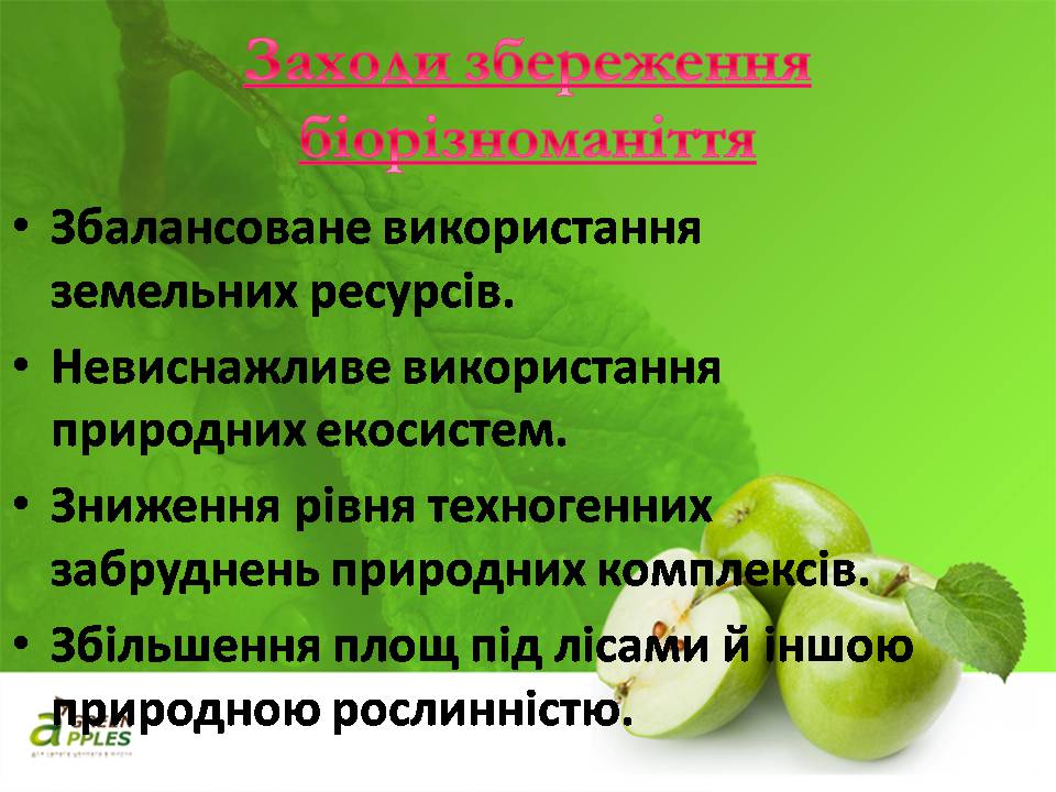Презентація на тему «Біорізноманіття» (варіант 10) - Слайд #30 Презентація на тему «Біорізноманіття» (варіант 10) - Слайд #30