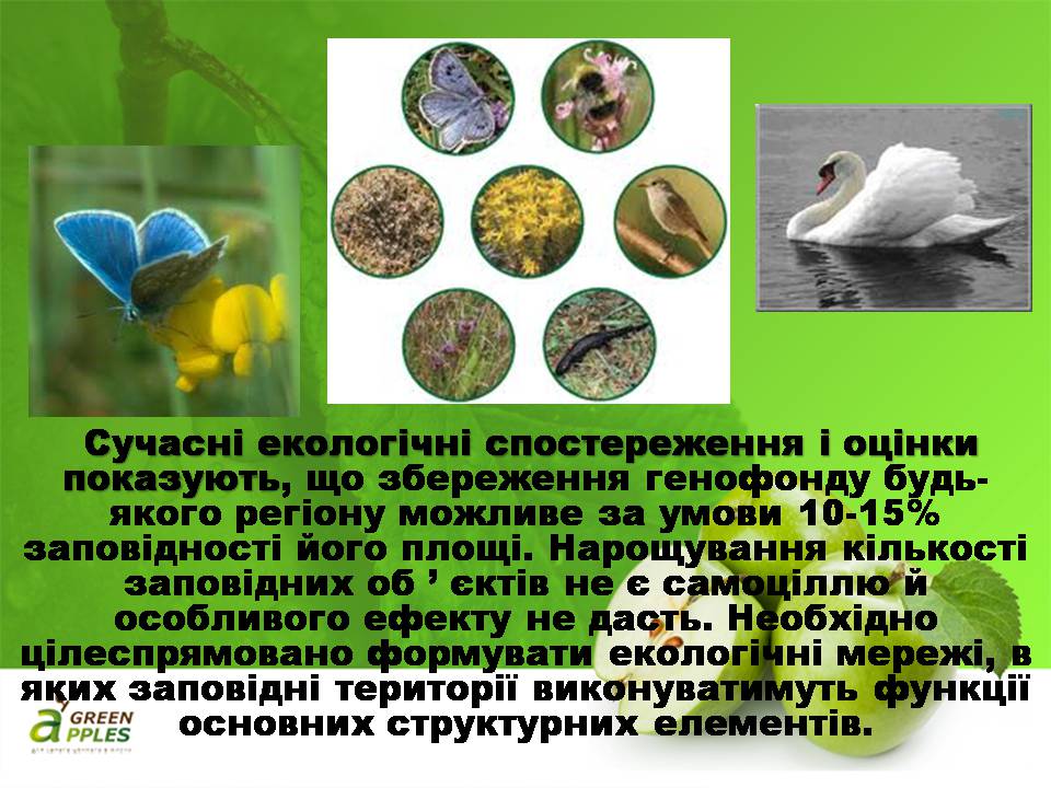 Презентація на тему «Біорізноманіття» (варіант 10) - Слайд #33 Презентація на тему «Біорізноманіття» (варіант 10) - Слайд #33