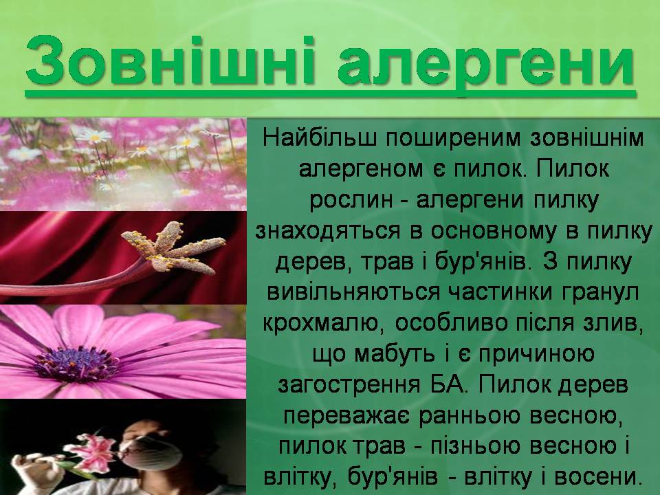 Презентація на тему «Бронхіальна астма» - Слайд #21 Презентація на тему «Бронхіальна астма» - Слайд #21