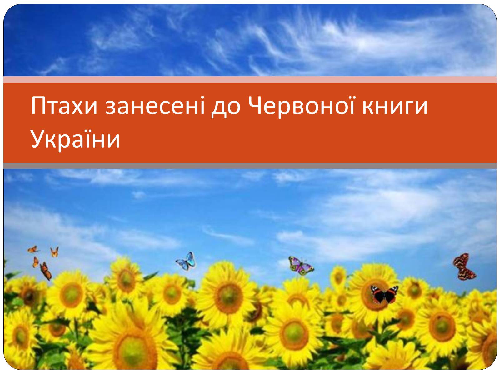 Презентація на тему «Птахи занесені до Червоної книги України» - Слайд #1