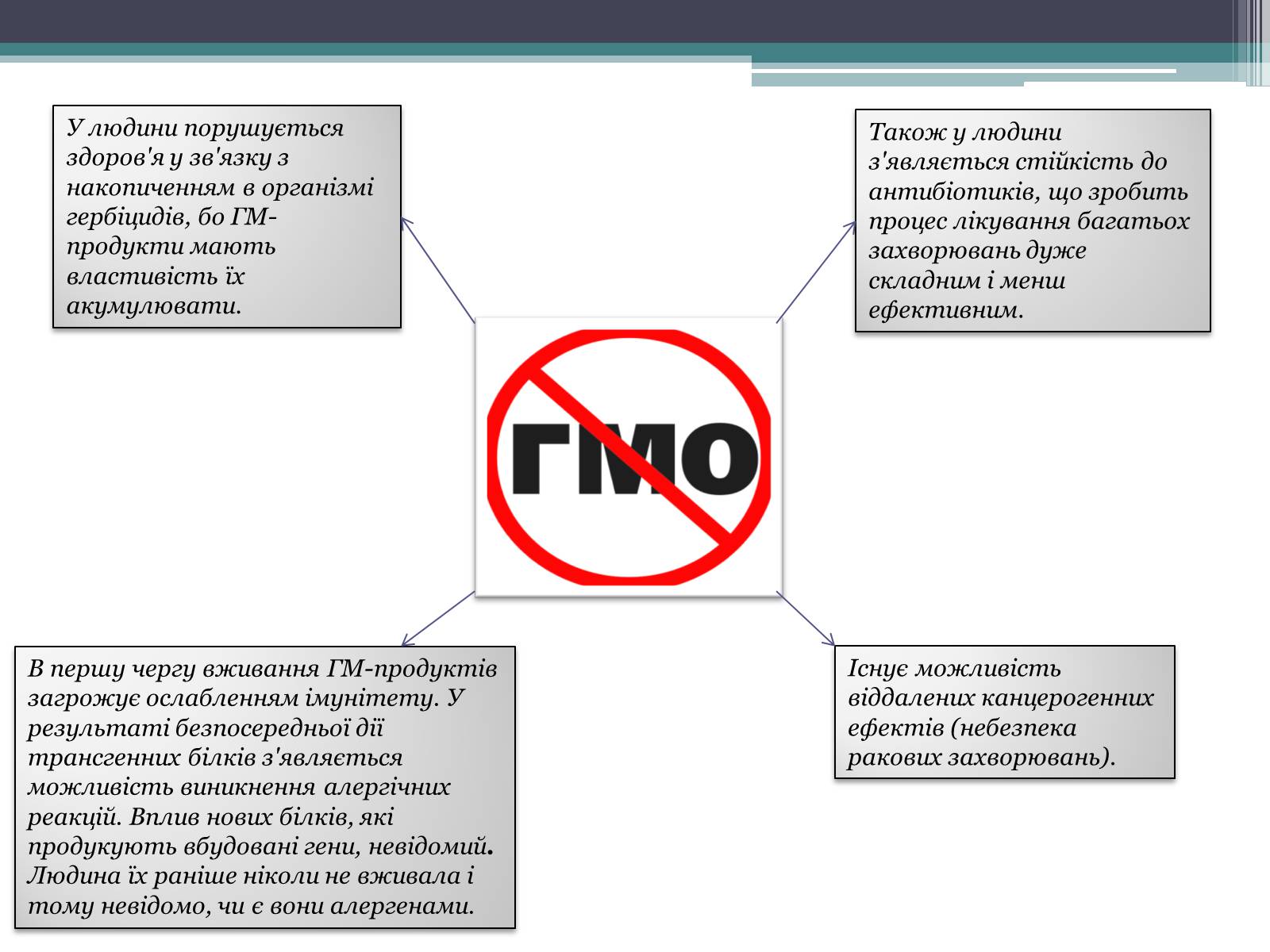 Презентація на тему «Генетично модифіковані організми» (варіант 3) - Слайд #13 Презентація на тему «Генетично модифіковані організми» (варіант 3) - Слайд #13