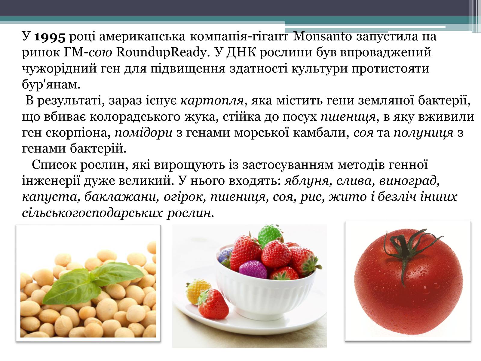Презентація на тему «Генетично модифіковані організми» (варіант 3) - Слайд #4 Презентація на тему «Генетично модифіковані організми» (варіант 3) - Слайд #4