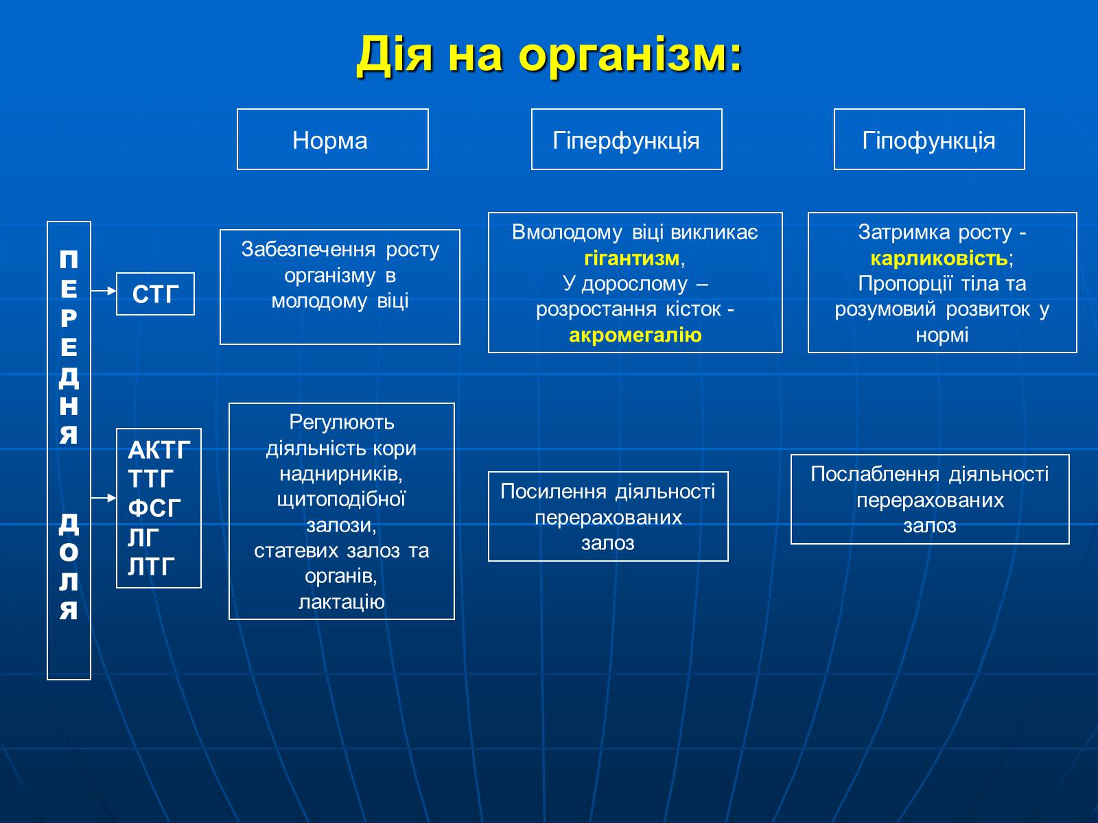 Презентація на тему «Залози внутрішньої секреції» - Слайд #12 Презентація на тему «Залози внутрішньої секреції» - Слайд #12