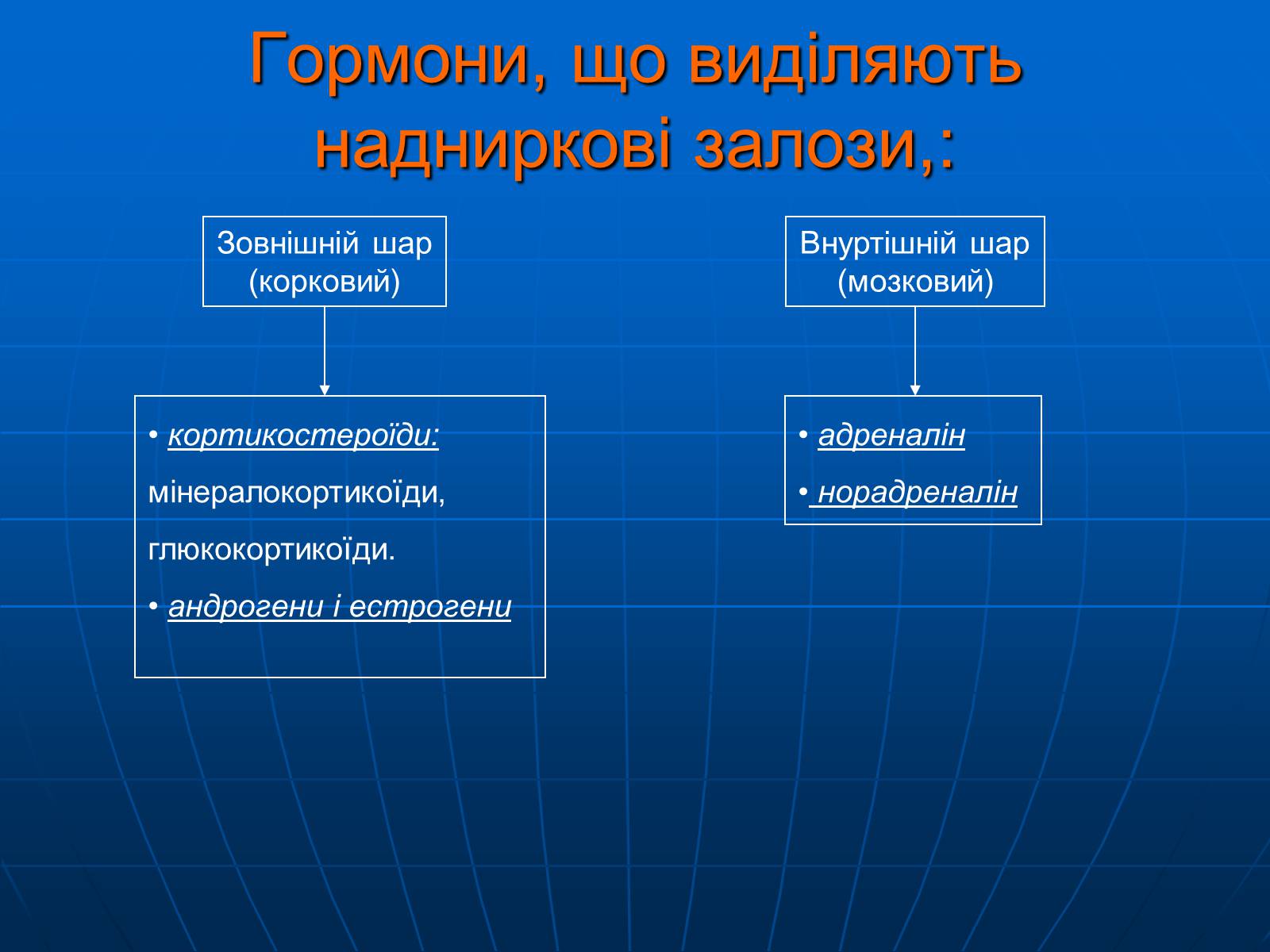 Презентація на тему «Залози внутрішньої секреції» - Слайд #25 Презентація на тему «Залози внутрішньої секреції» - Слайд #25
