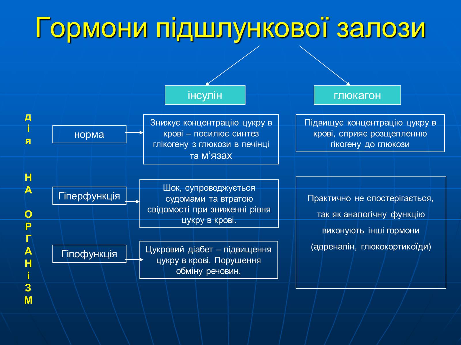 Презентація на тему «Залози внутрішньої секреції» - Слайд #29 Презентація на тему «Залози внутрішньої секреції» - Слайд #29